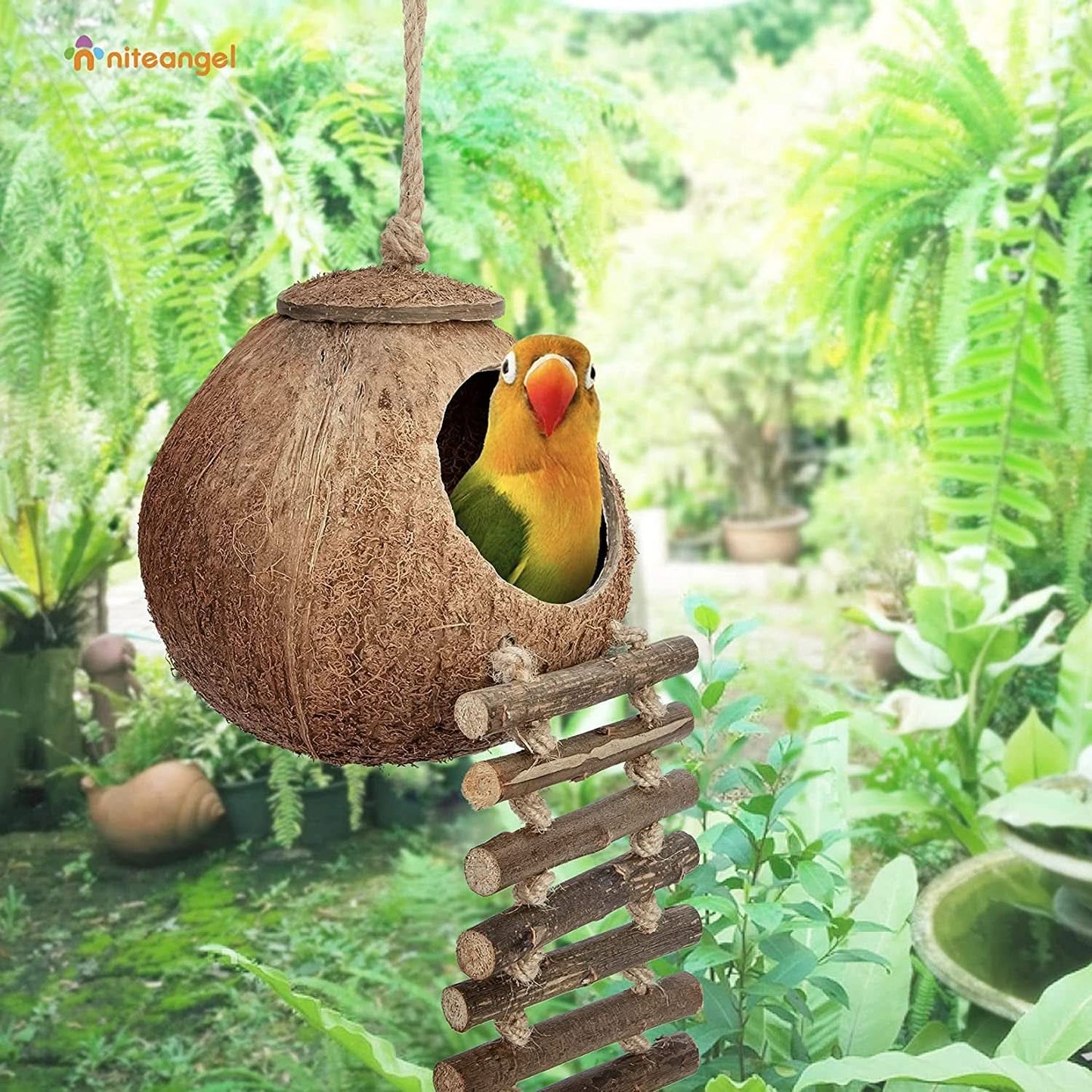 Natural Coconut Hideaway with Ladder for Birds and Small Animals