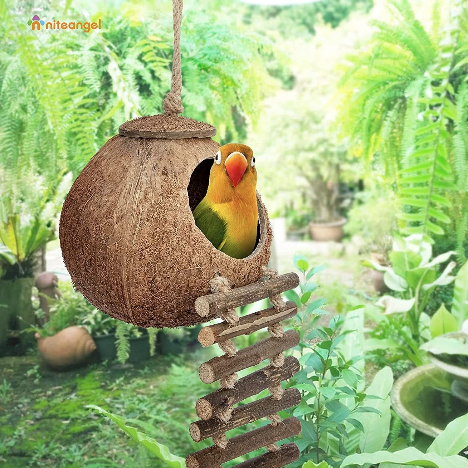 Natural Coconut Hideaway with Ladder for Birds and Small Animals
