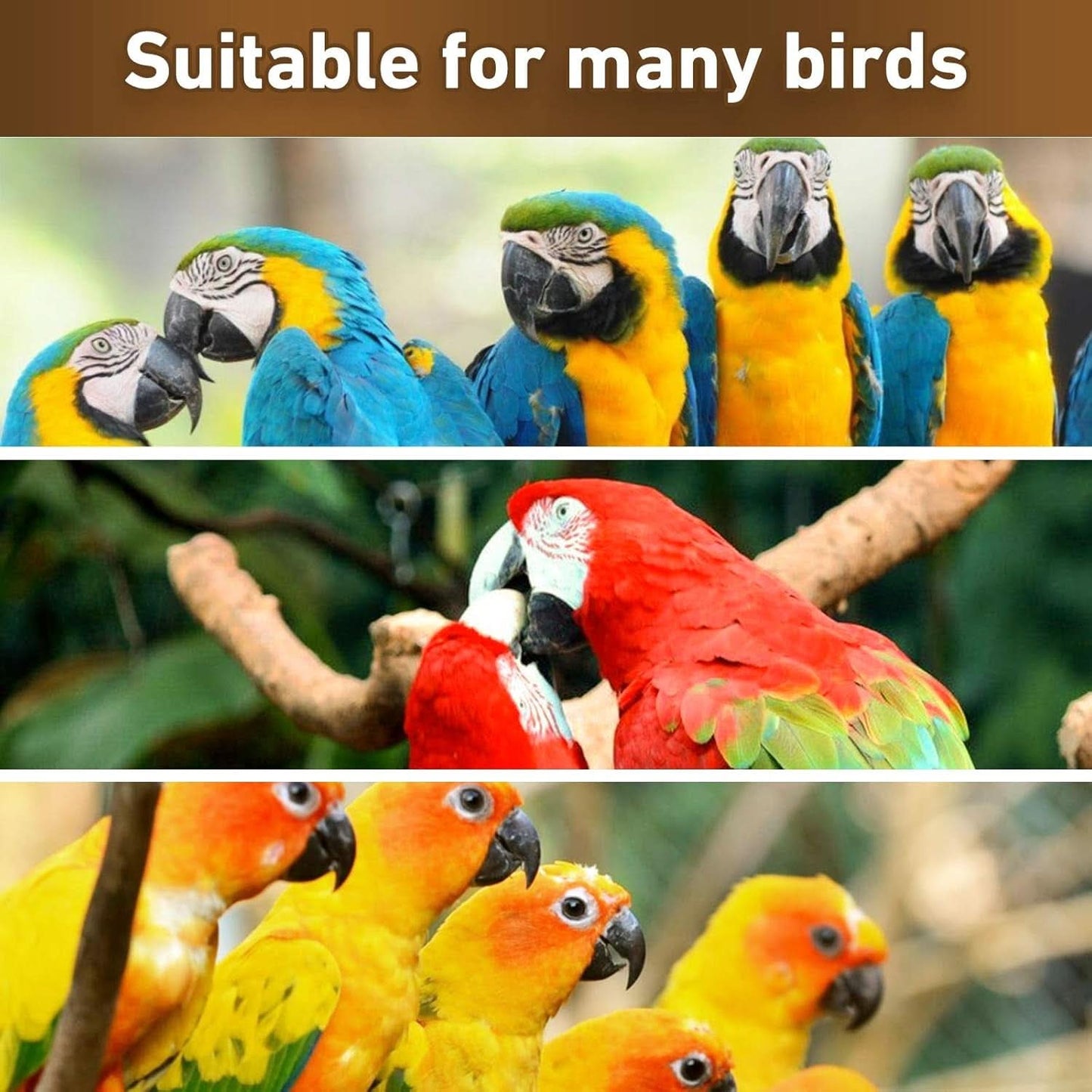 Natural Wood Parrot Chewing and Hanging Toys for Small and Medium Birds, Including Parakeets, Cockatoos, African Greys, and Cockatiels