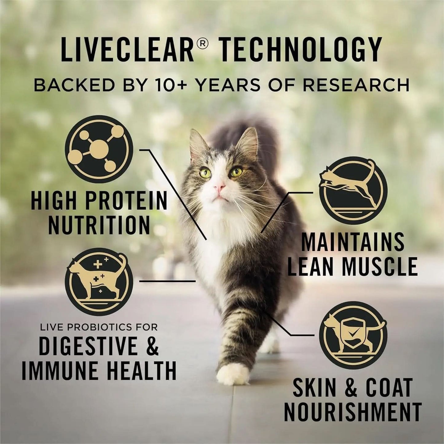 Indoor Cat Food LiveClear Allergen-Reducing Turkey and Rice Formula - 3.2 lb Bag