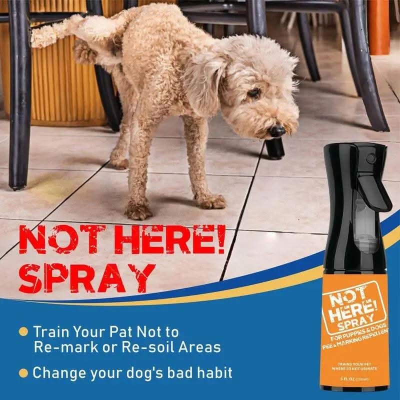 NOT HERE SPRAY - anti Cat & Dog Urine Spray - 5 Fl Oz -No More Marking Spray for Dogs & Cats-Non-Staining Potty Training Spray Fordogs & Cats - Effective Don'T Pee Herespray for Dogs