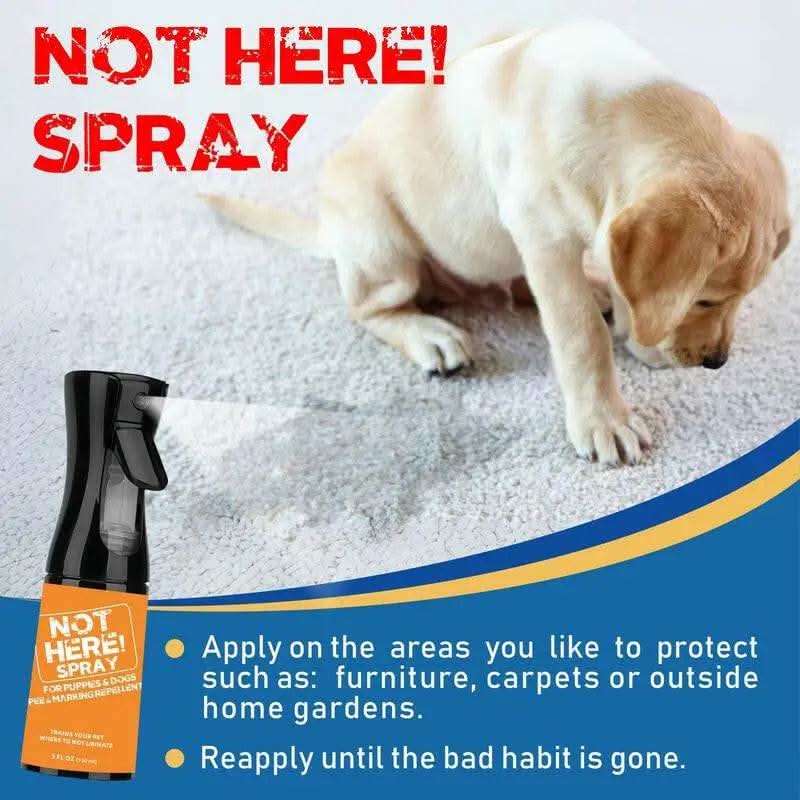 NOT HERE SPRAY - anti Cat & Dog Urine Spray - 5 Fl Oz -No More Marking Spray for Dogs & Cats-Non-Staining Potty Training Spray Fordogs & Cats - Effective Don'T Pee Herespray for Dogs