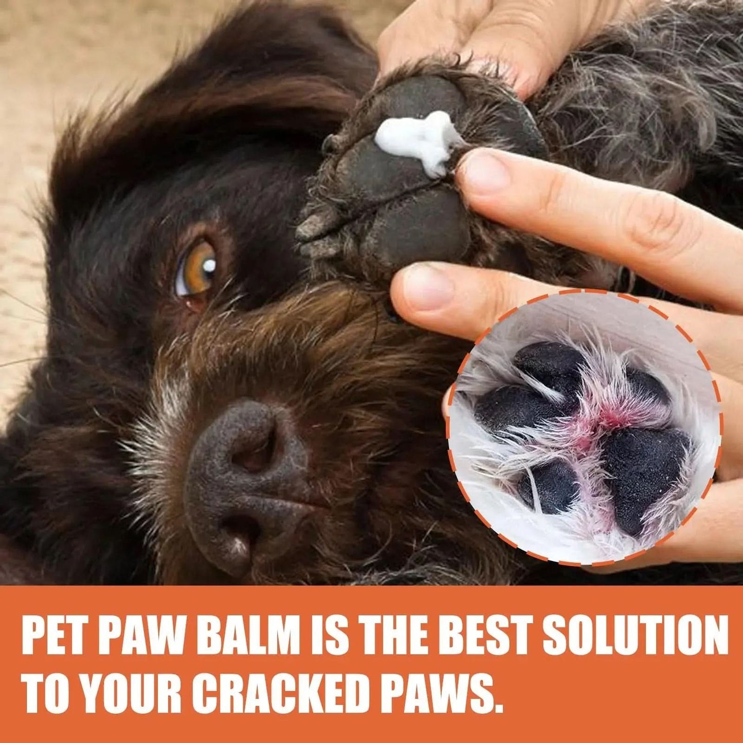 Paw Soother: Moisturizing Balm for Cats and Dogs