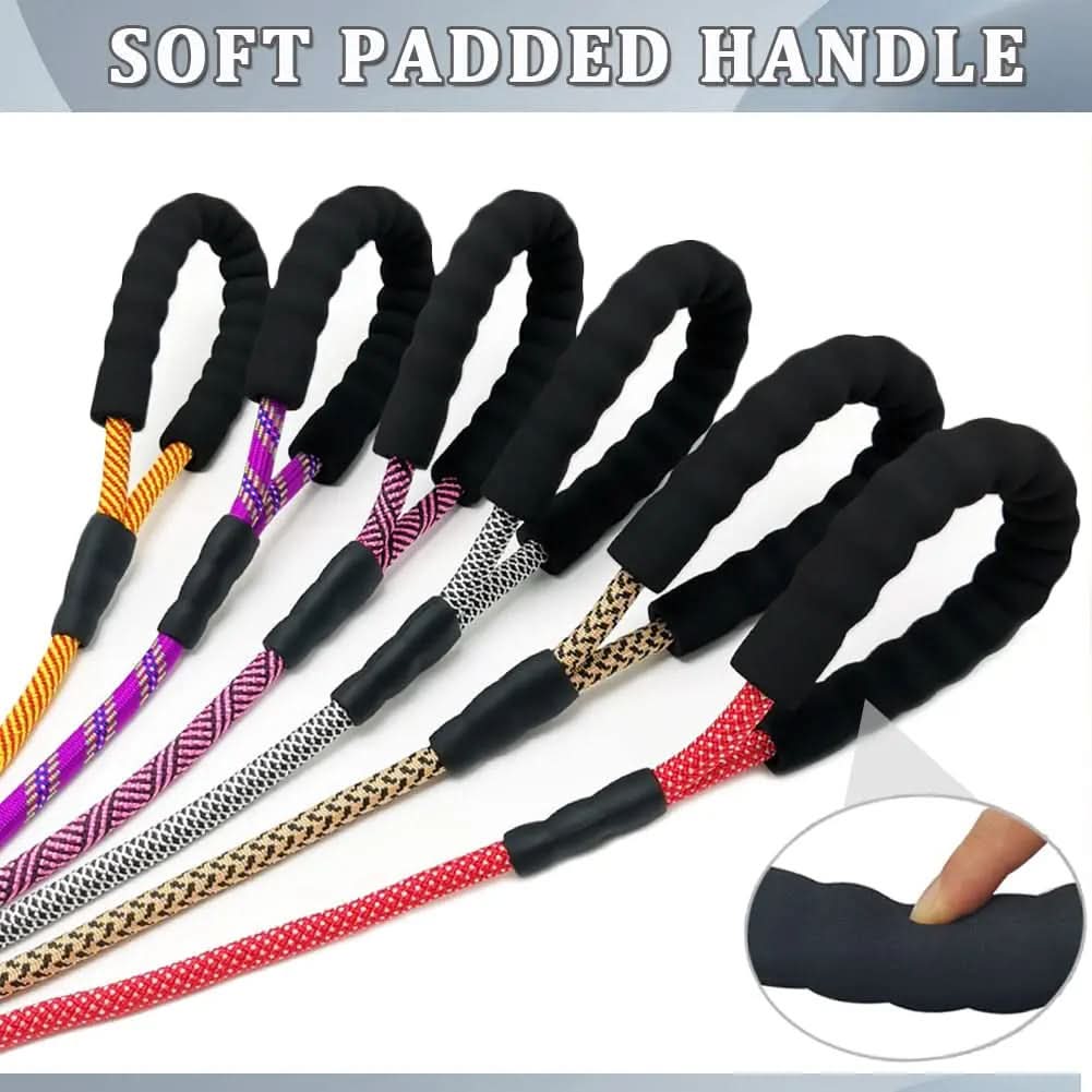 Heavy-Duty Nylon Dog Leash, 6 FT with Soft Padded Handle for Large and Medium Breeds (Orange, 1/2" x 6 FT)