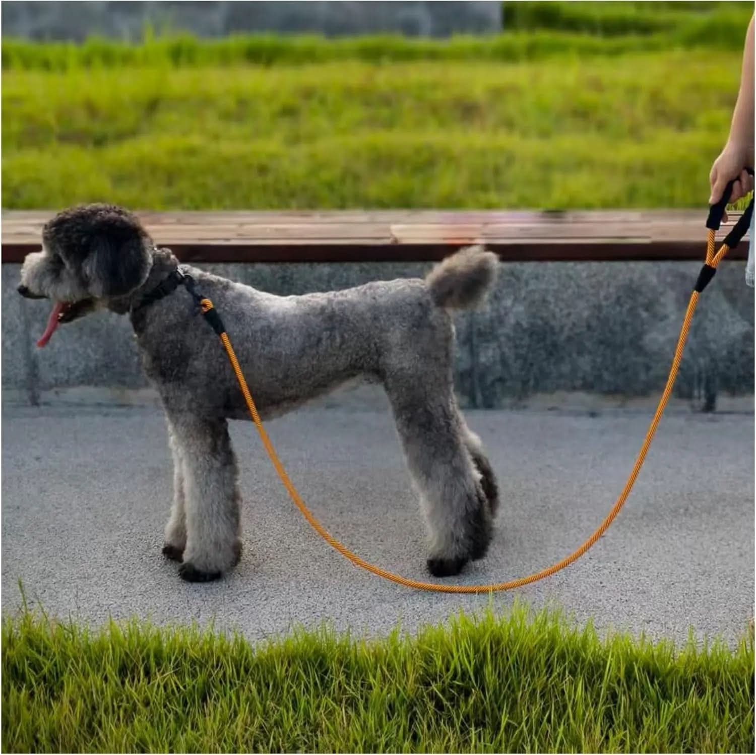 Heavy-Duty Nylon Dog Leash, 6 FT with Soft Padded Handle for Large and Medium Breeds (Orange, 1/2" x 6 FT)