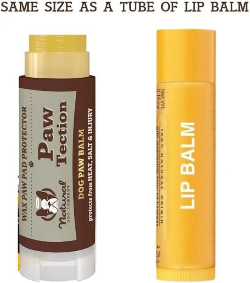 Pawtection Balm - Moisturizing Paw Protector for Dogs, Soothes Dry and Cracked Pads, Shields Against Extreme Weather, Ideal for Allergies and Itching (0.15 Oz Stick)