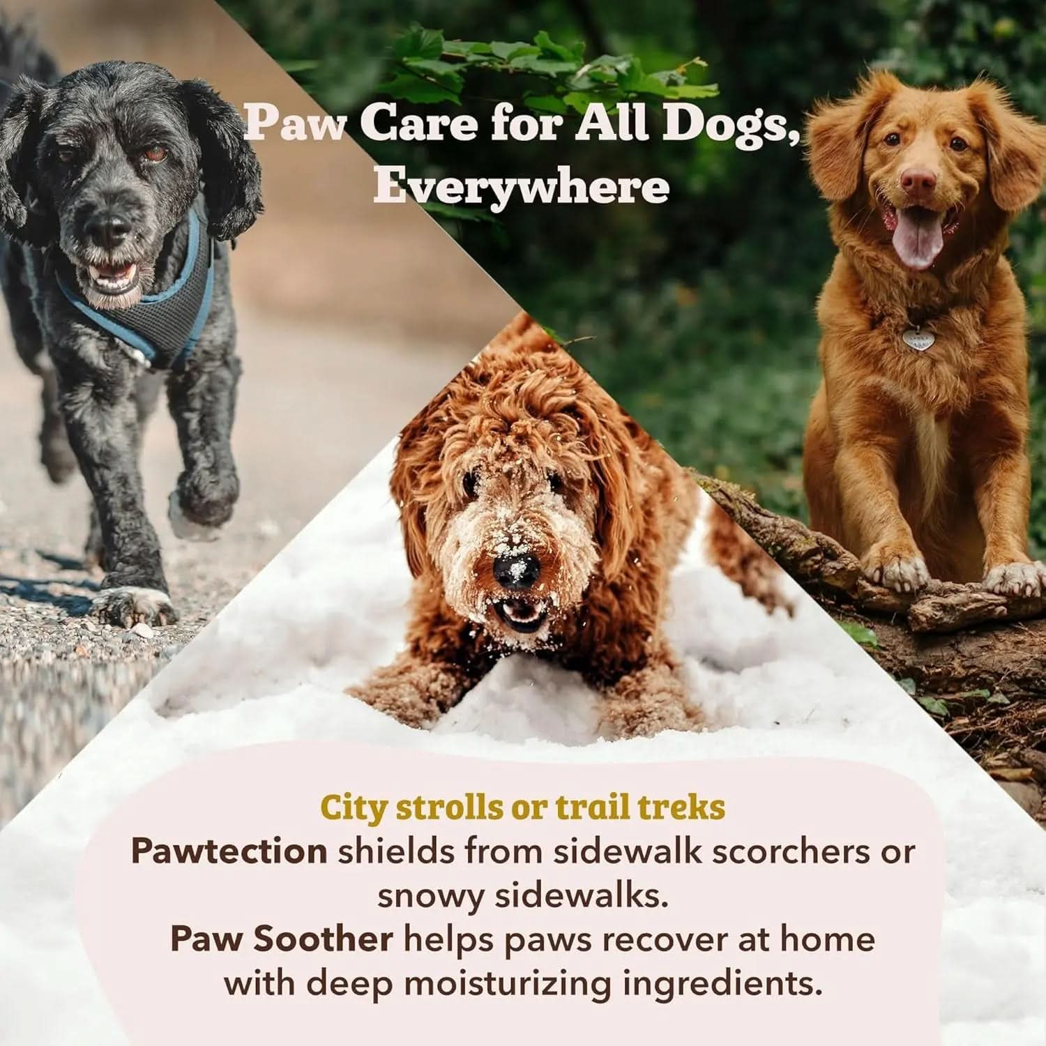 Pawtection Balm - Moisturizing Paw Protector for Dogs, Soothes Dry and Cracked Pads, Shields Against Extreme Weather, Ideal for Allergies and Itching (0.15 Oz Stick)