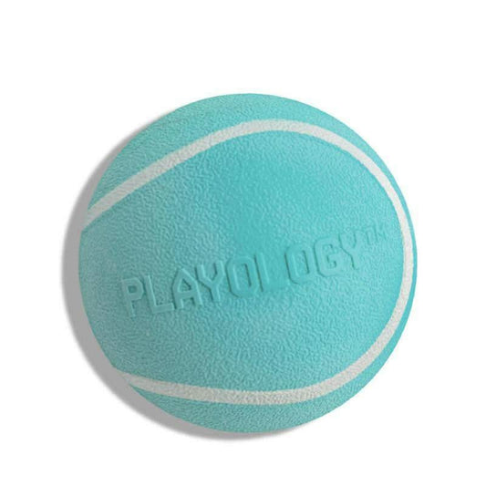 Playology Squeaky Chew Ball Dog Toy - Interactive Squeaky Sound, All-Natural Beef Scent, Easy to Clean, Medium Size (Up to 50Lbs)