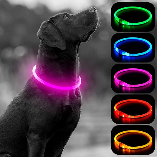 USB Rechargeable LED Dog Collar - Waterproof Glow-in-the-Dark Necklace for Nighttime Walks (Pink)