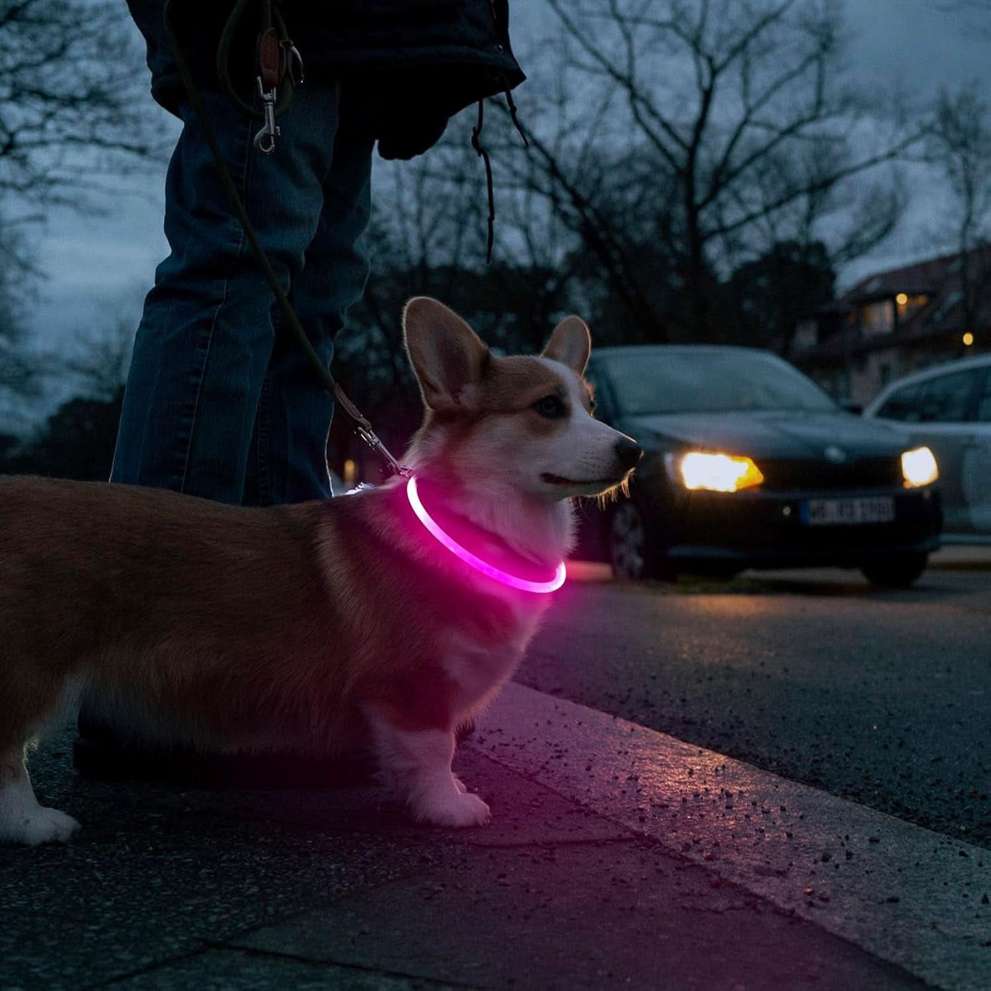 USB Rechargeable LED Dog Collar - Waterproof Glow-in-the-Dark Necklace for Nighttime Walks (Pink)