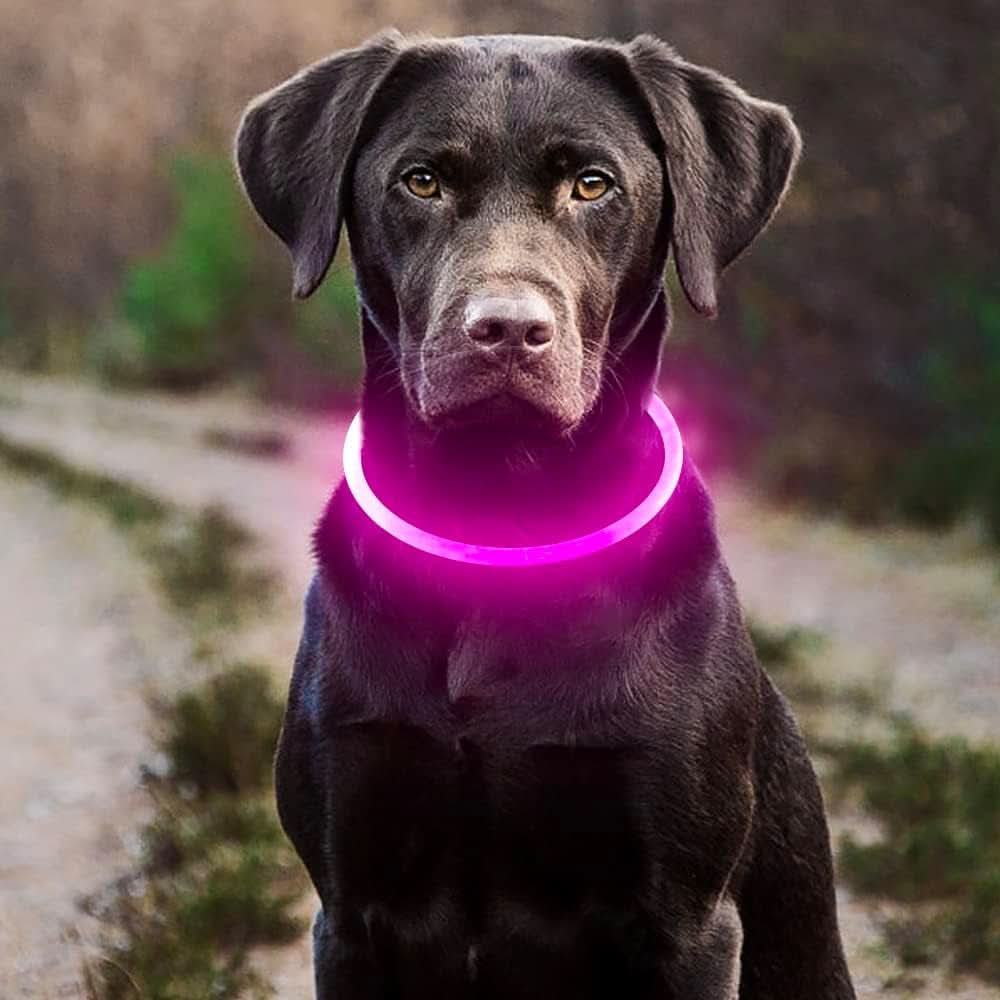 USB Rechargeable LED Dog Collar - Waterproof Glow-in-the-Dark Necklace for Nighttime Walks (Pink)