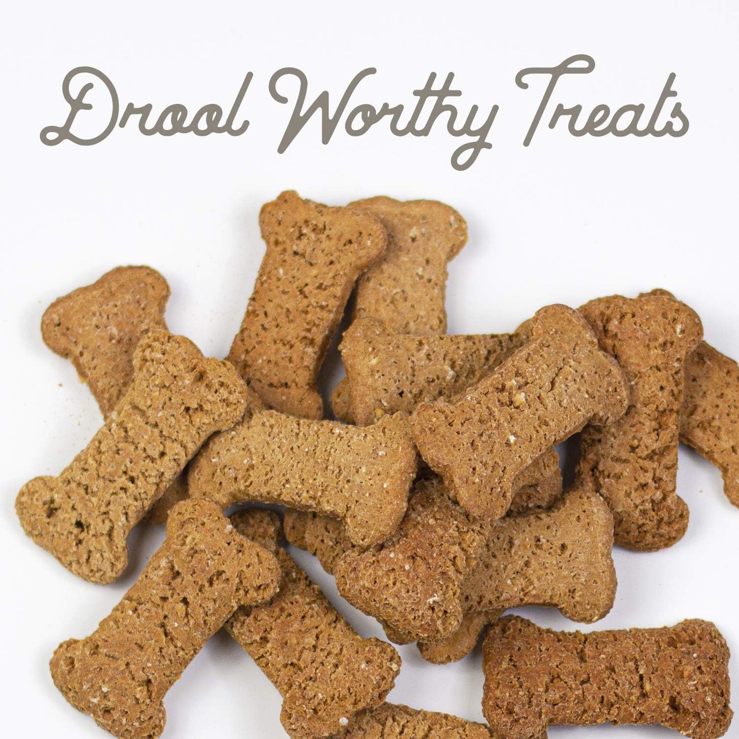 Pets Organic Pumpkin Dog Biscuits - All-Natural Treats, Made in the USA (Small Size)