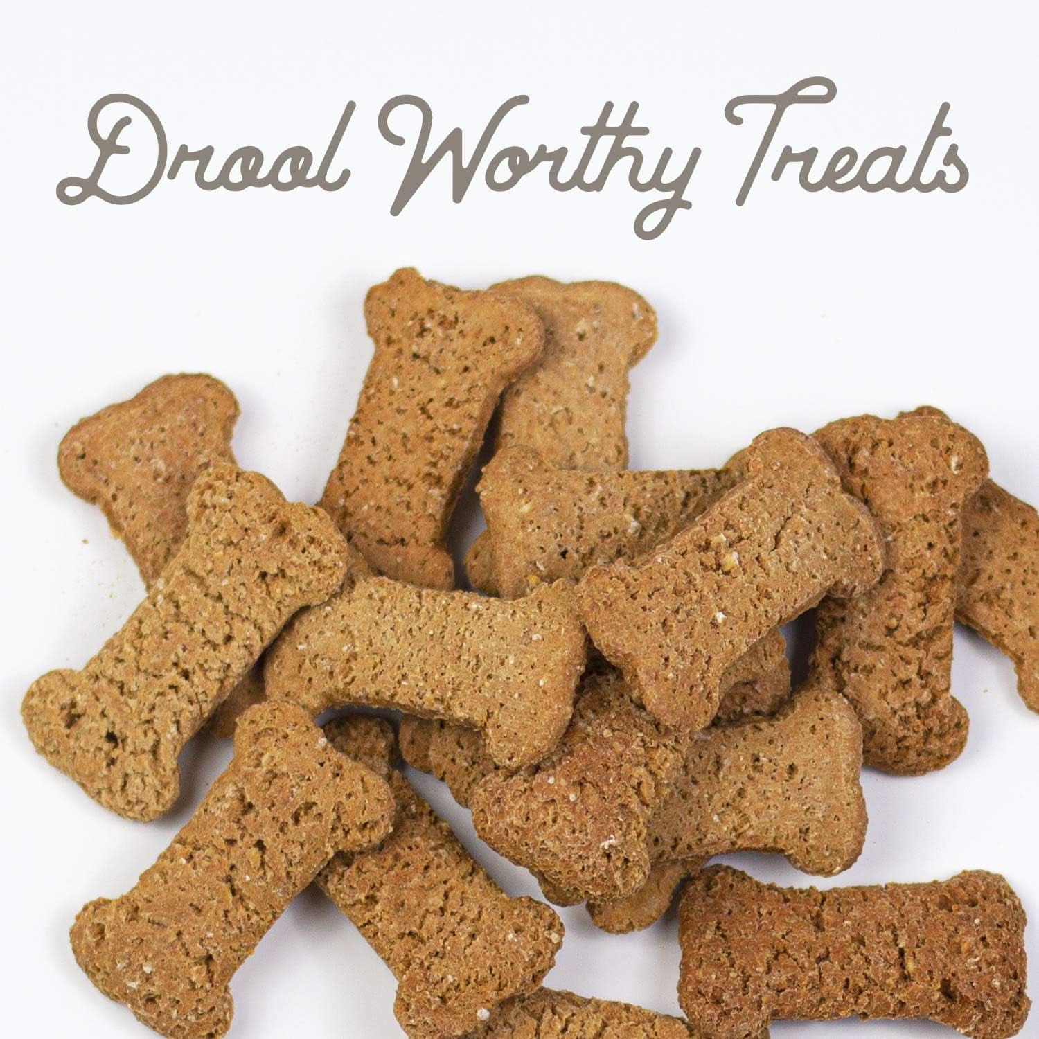 Pets Organic Pumpkin Dog Biscuits - All-Natural Treats, Made in the USA (Small Size)