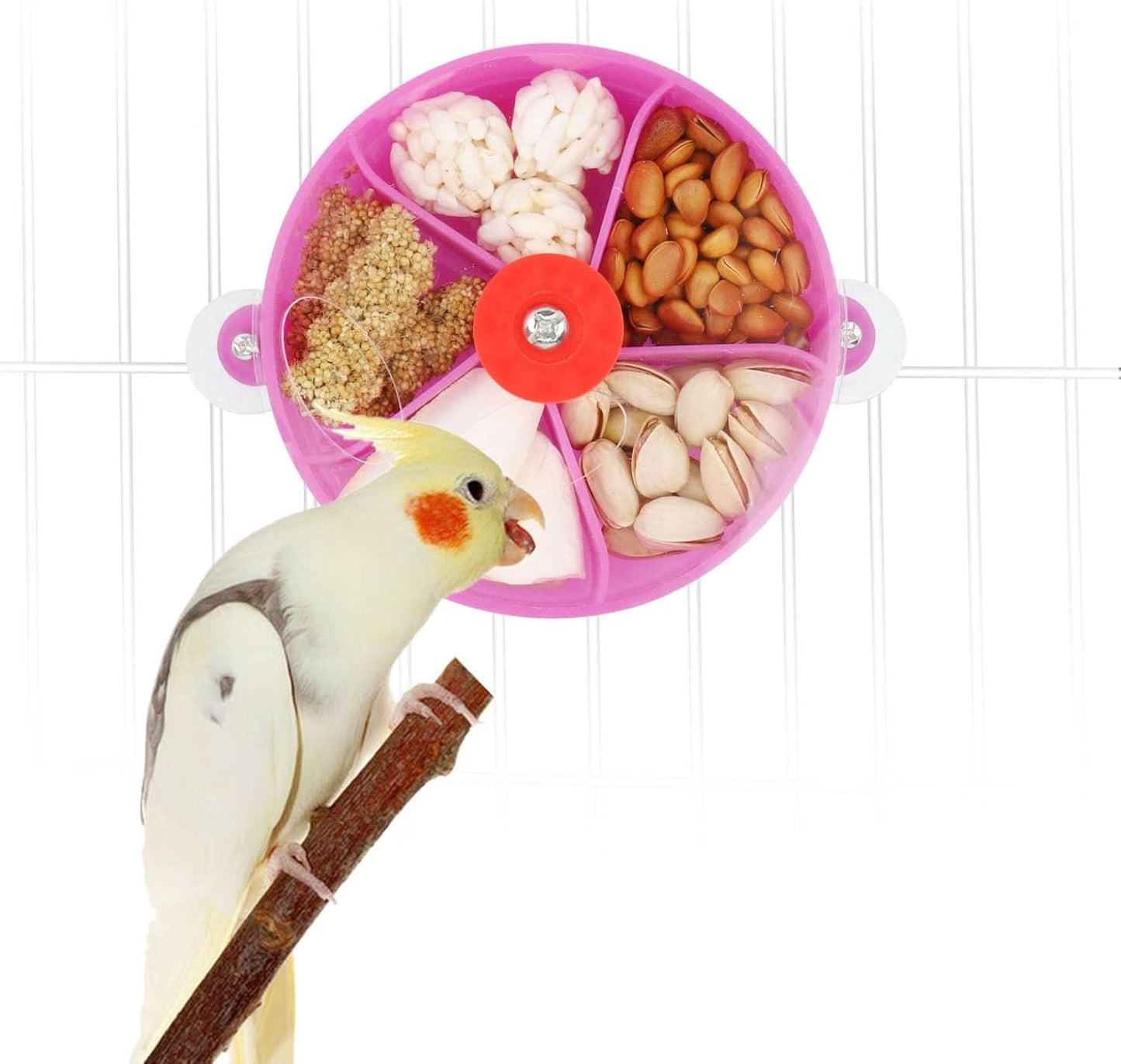 Bird Creative Foraging System Rotating Seed Ball Training Toy for Small to Medium Parrots, Parakeets, Cockatiels, and Conures (Purple)