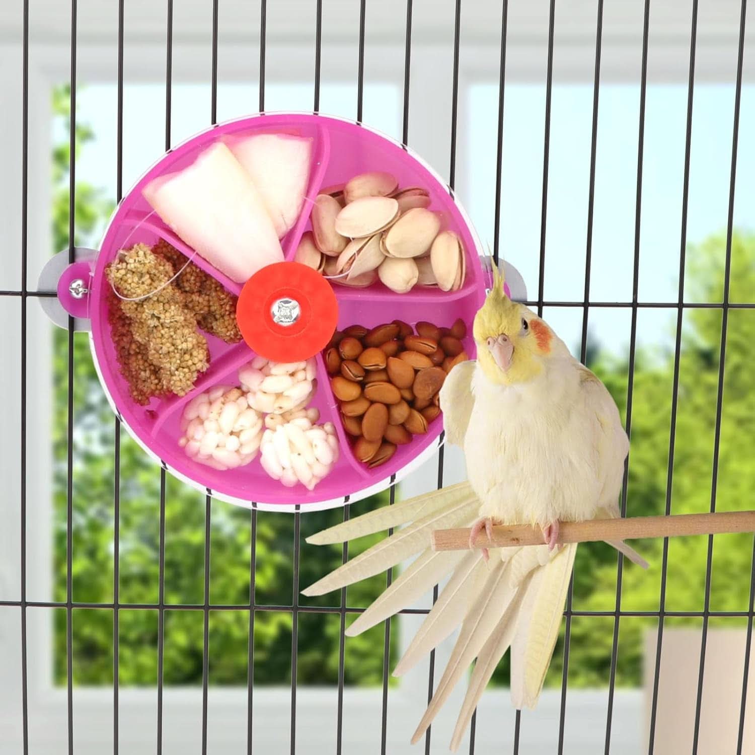 Bird Creative Foraging System Rotating Seed Ball Training Toy for Small to Medium Parrots, Parakeets, Cockatiels, and Conures (Purple)