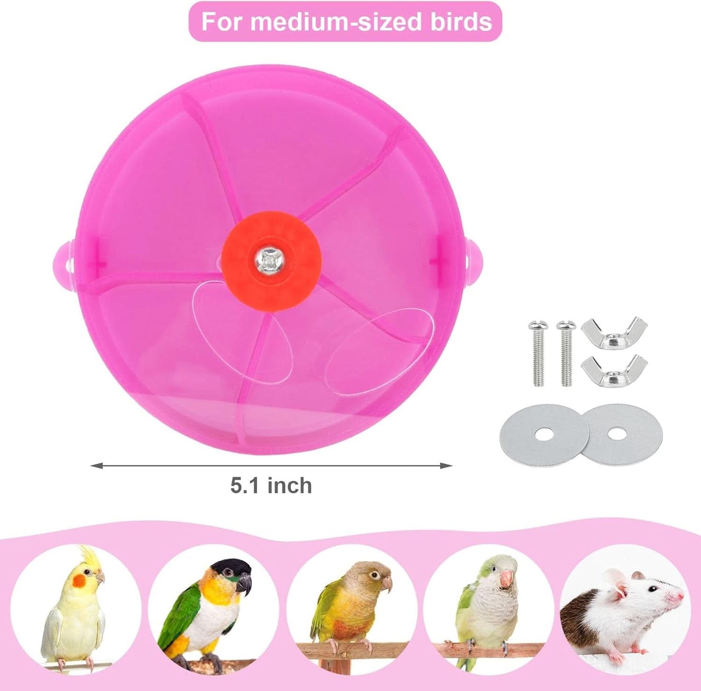 Bird Creative Foraging System Rotating Seed Ball Training Toy for Small to Medium Parrots, Parakeets, Cockatiels, and Conures (Purple)