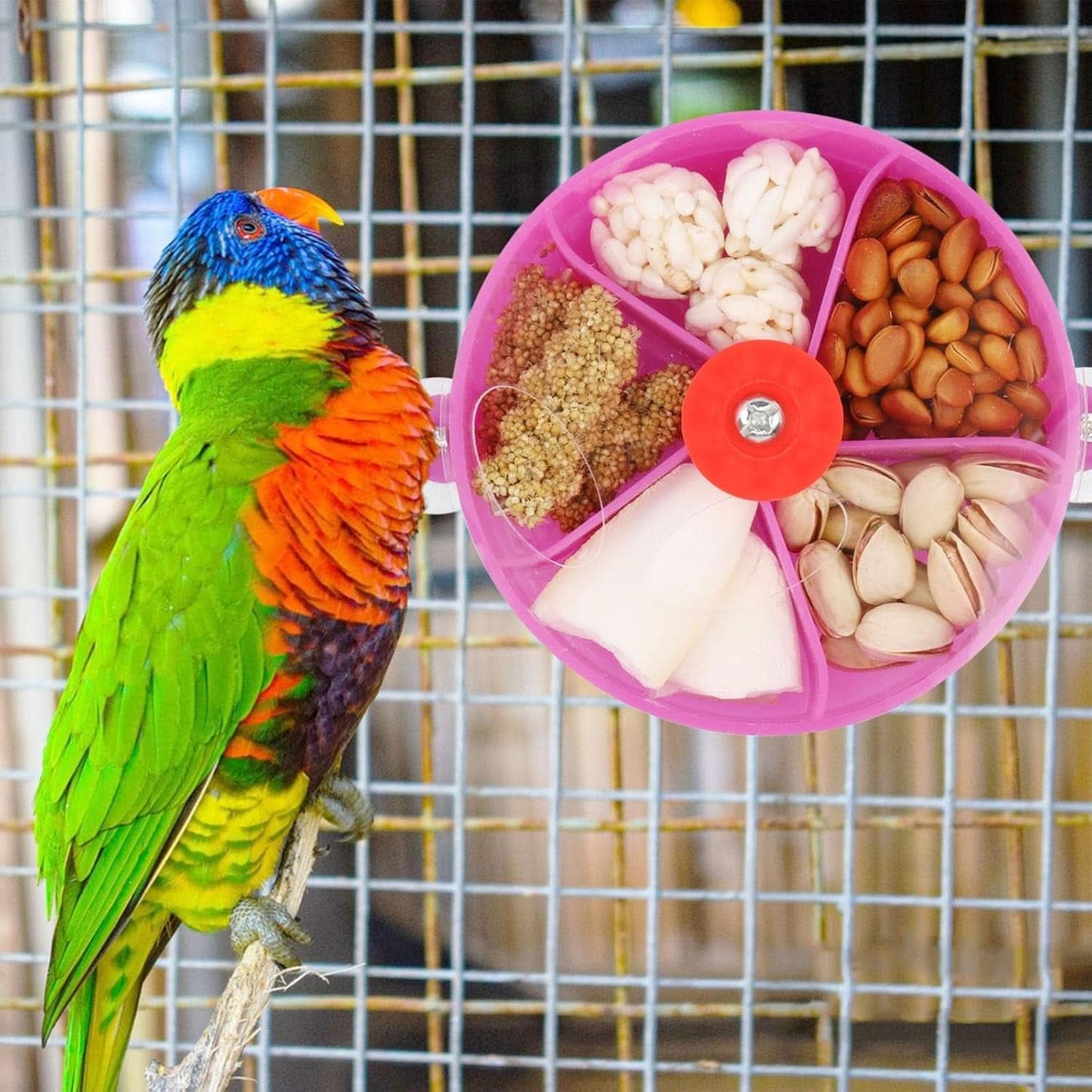 Bird Creative Foraging System Rotating Seed Ball Training Toy for Small to Medium Parrots, Parakeets, Cockatiels, and Conures (Purple)