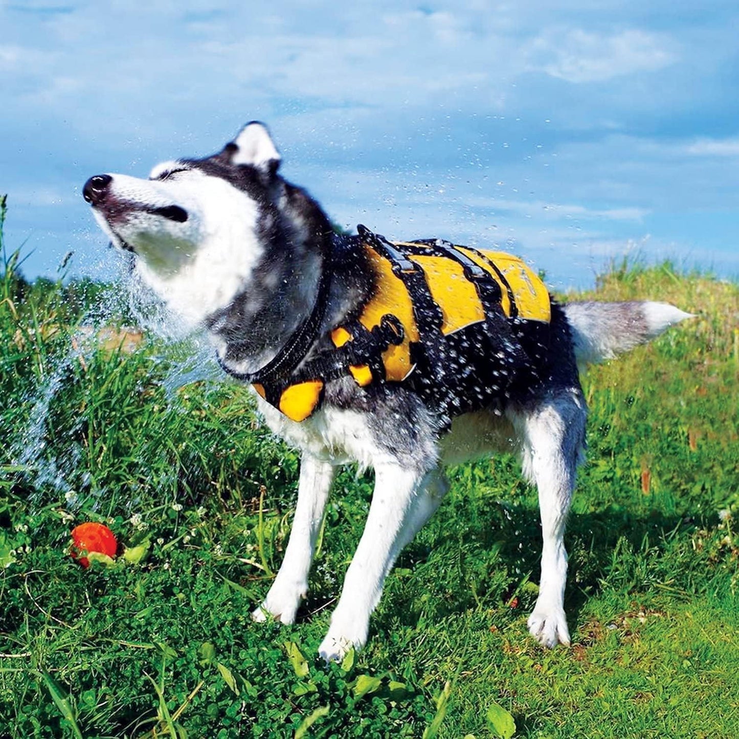DFD Dog Life Jacket - Adjustable Safety Vest with Reflective Trim and Durable Grab Handle - Enhanced Flotation for Small Dogs - Red