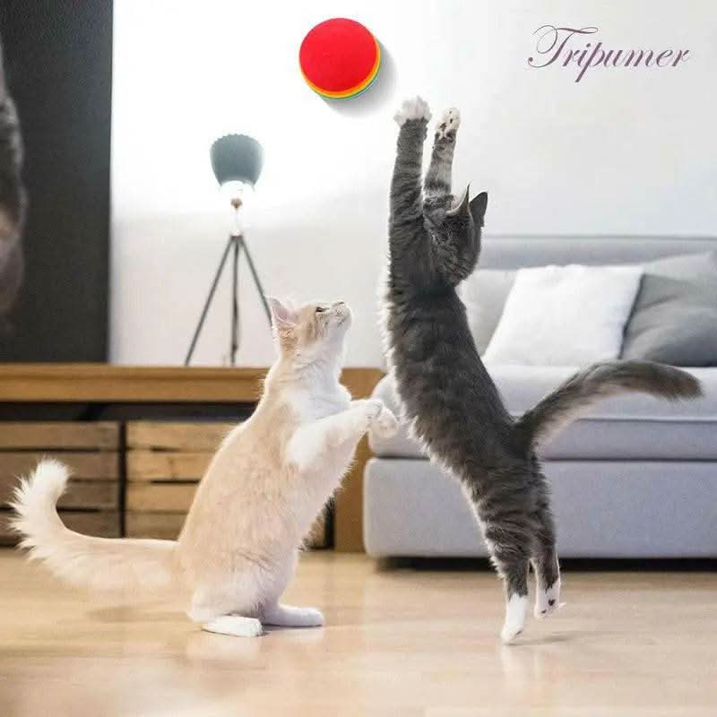 Cat Toys 21Pcs Kitten Toy Set Tunnel Interactive Black Straight through Cat Toy Set with Fluffy Mouse for Cats