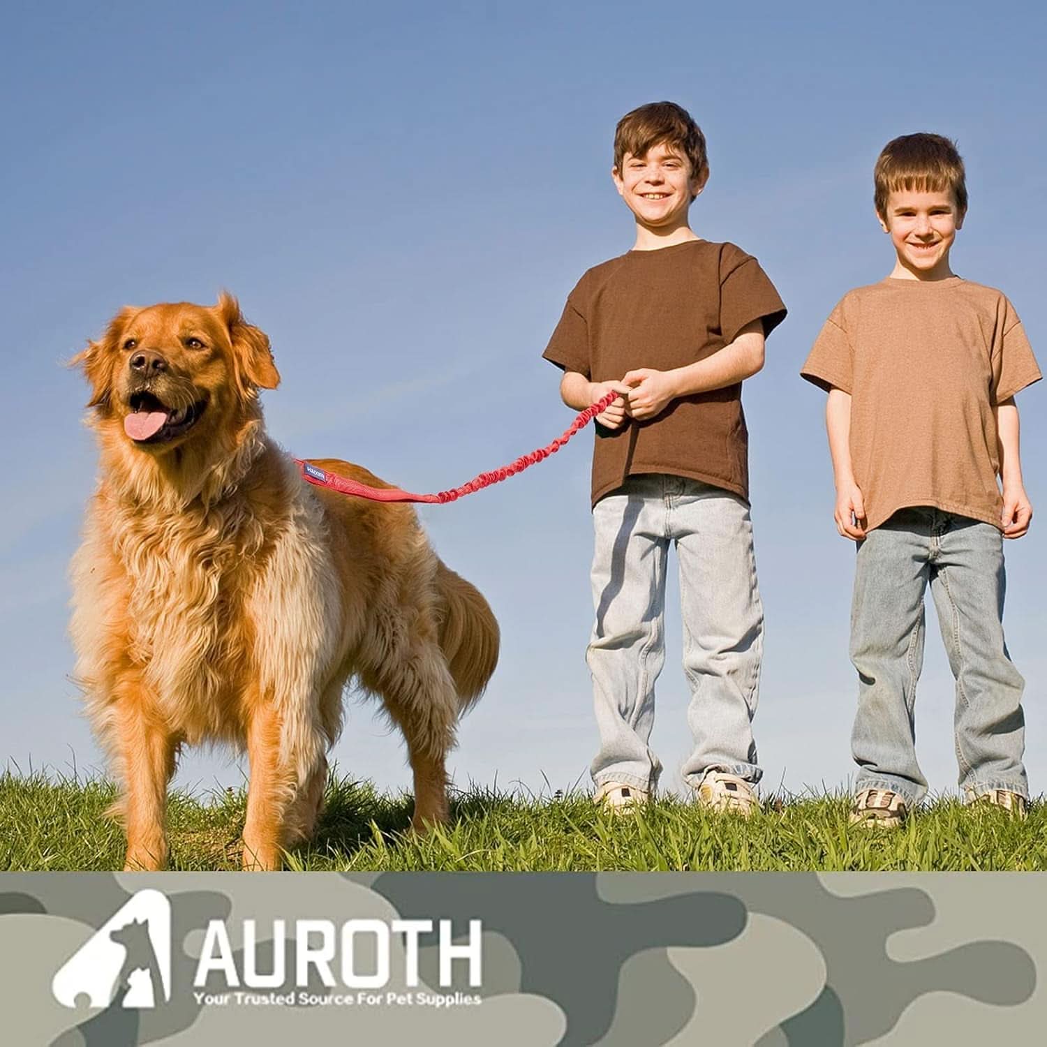 Premium Heavy-Duty Bungee Dog Leash for Large Breeds, Shock Absorbing No-Pull Design with Car Seat Belt, Dual Padded Handles, Available in 4.5ft and 6ft Lengths, Red