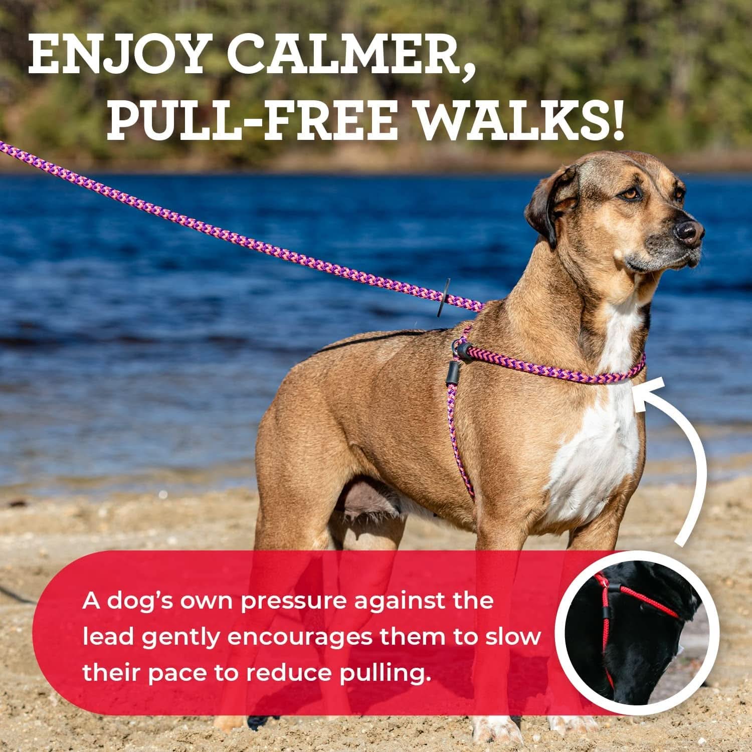 No-Pull Dog Harness and Leash Set with Removable Insert, Cushioned One-Piece Design for Small to Medium Dogs, Red/Reflective