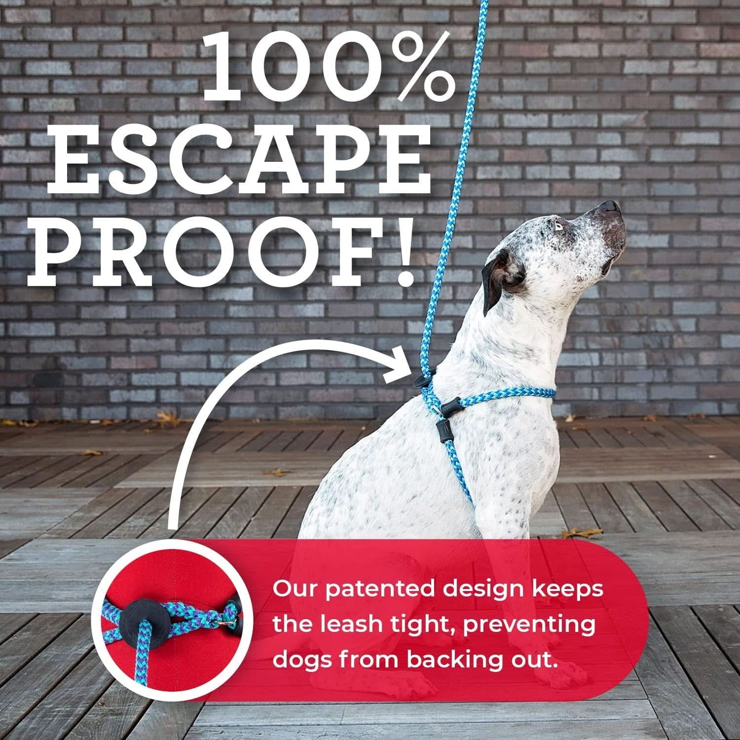 No-Pull Dog Harness and Leash Set with Removable Insert, Cushioned One-Piece Design for Small to Medium Dogs, Red/Reflective