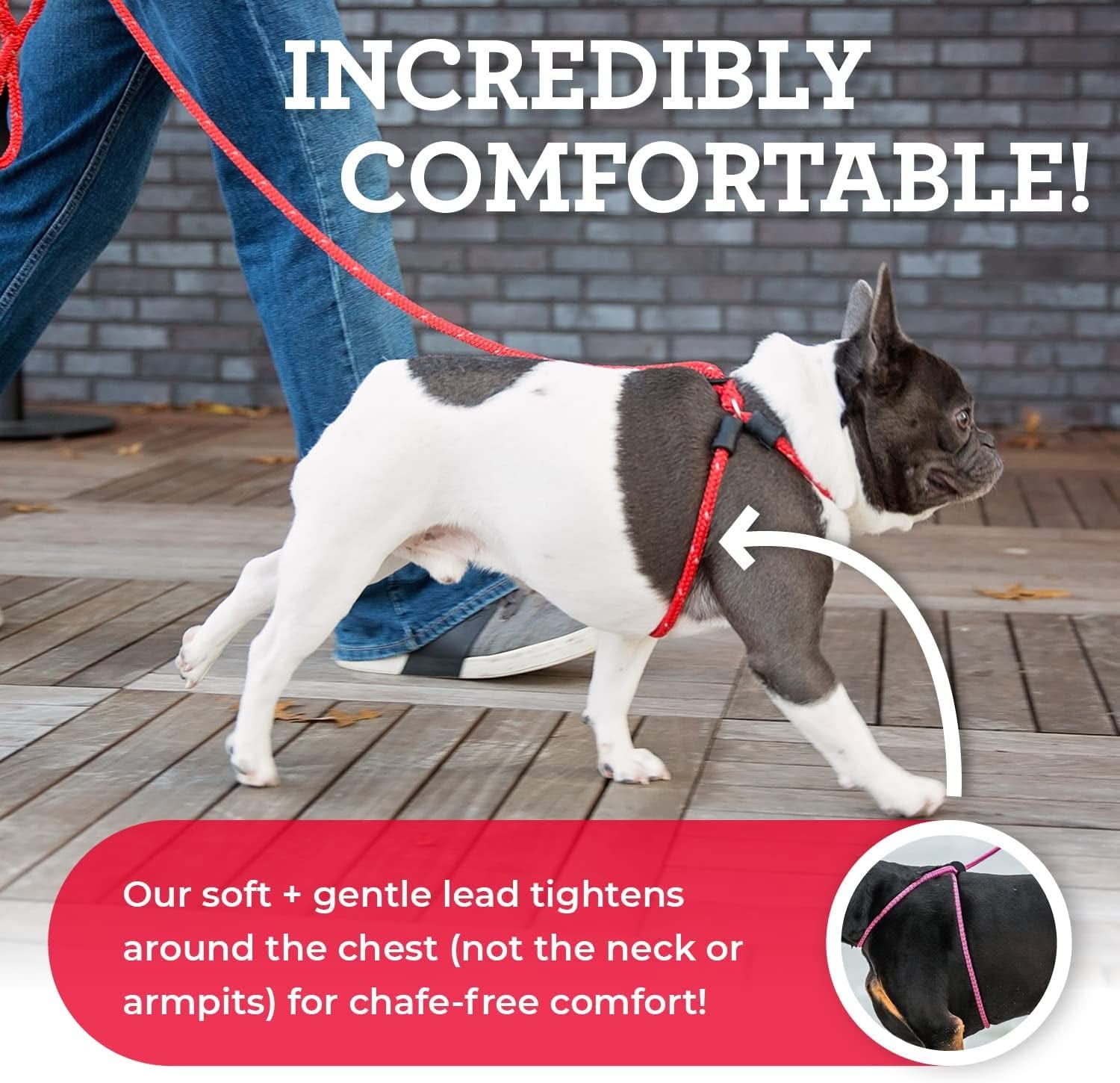 No-Pull Dog Harness and Leash Set with Removable Insert, Cushioned One-Piece Design for Small to Medium Dogs, Red/Reflective