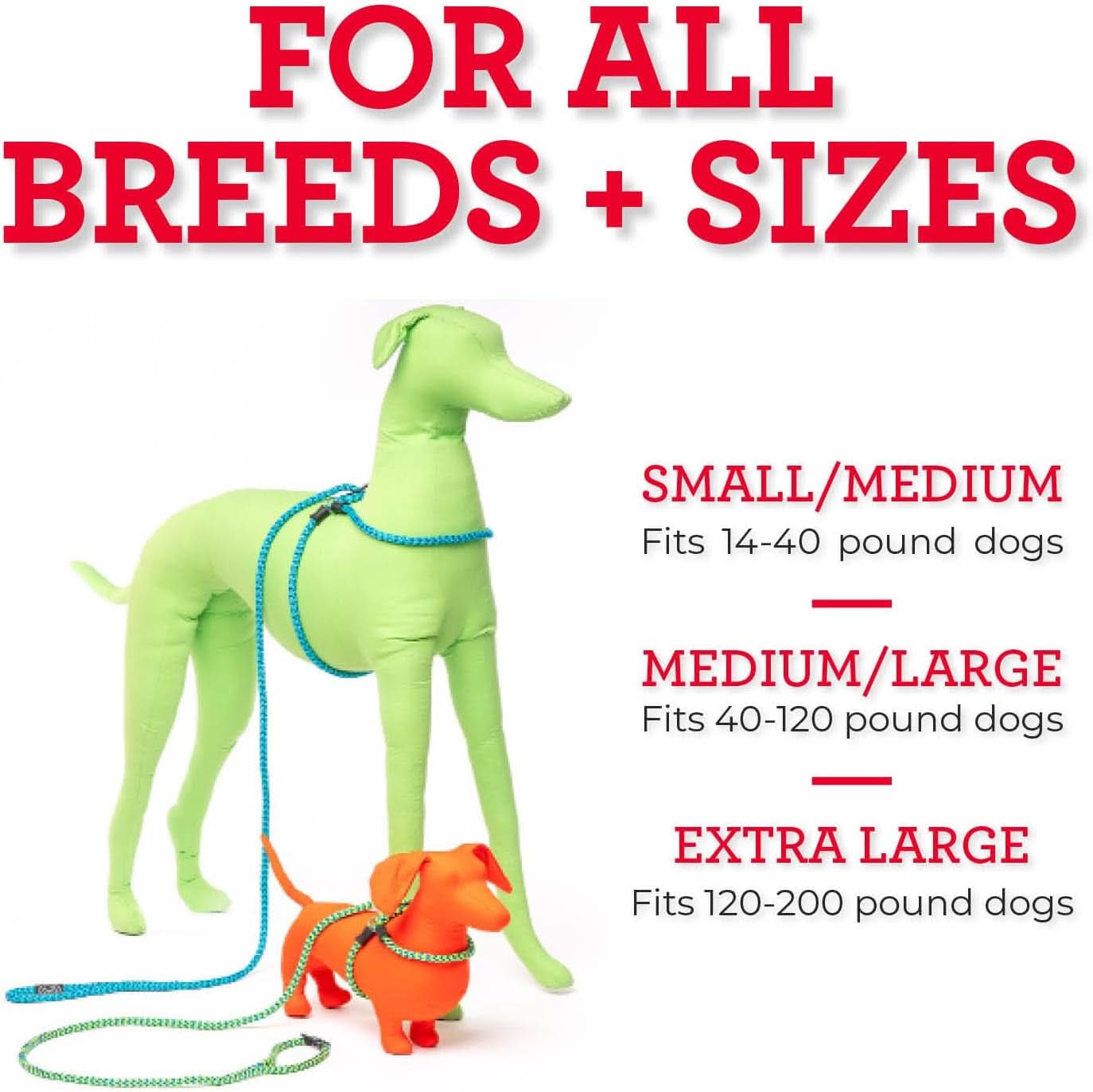 No-Pull Dog Harness and Leash Set with Removable Insert, Cushioned One-Piece Design for Small to Medium Dogs, Red/Reflective