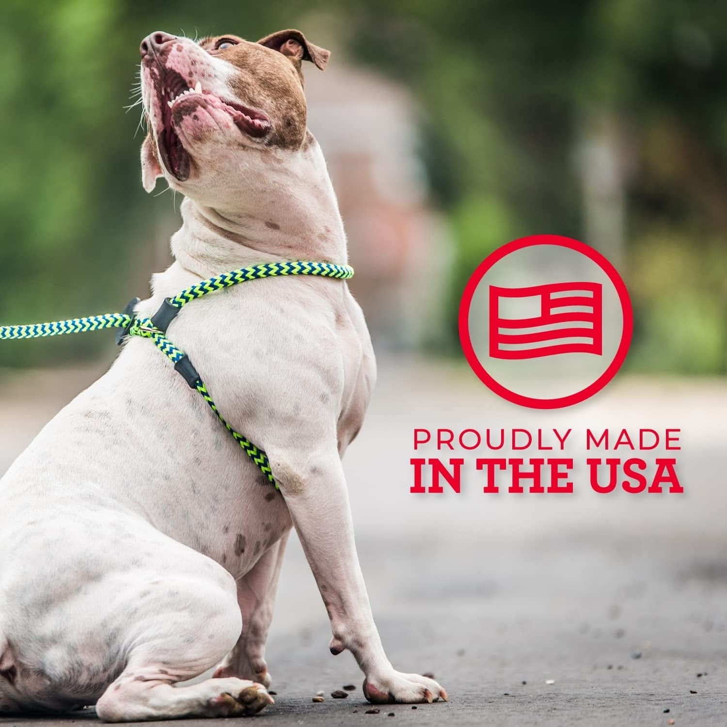 No-Pull Dog Harness and Leash Set with Removable Insert, Cushioned One-Piece Design for Small to Medium Dogs, Red/Reflective