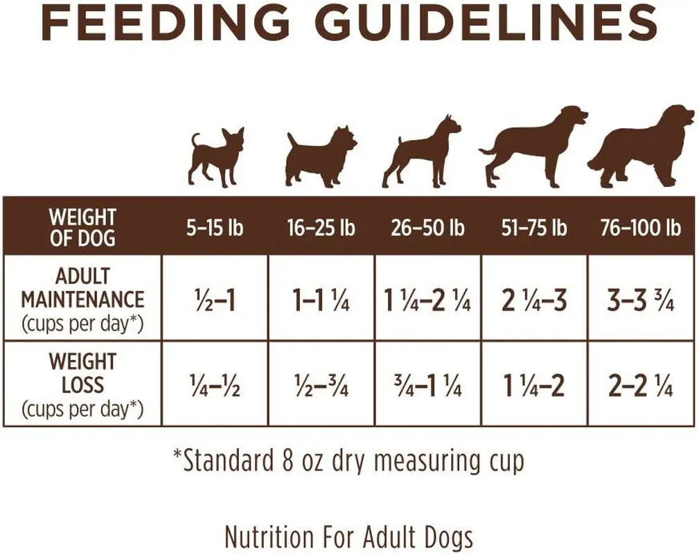 Limited Ingredient Diet Natural Grain-Free Dry Dog Food with Real Salmon, 20 lb Bag