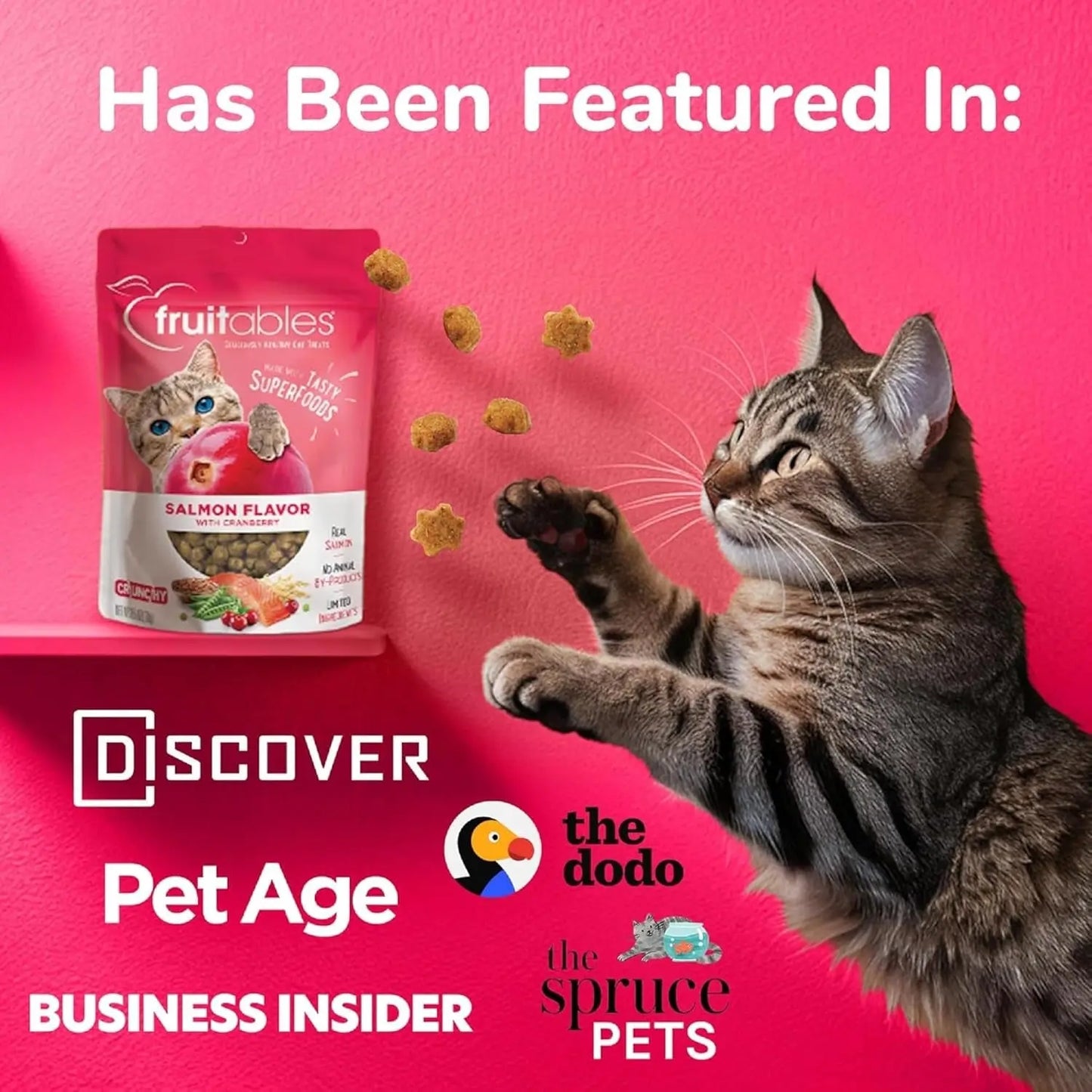 Crunchy Cat Treats - Healthy Low-Calorie Protein Snack with Real Salmon and Cranberry - 2.5 Ounces - Wheat, Corn, and Soy Free