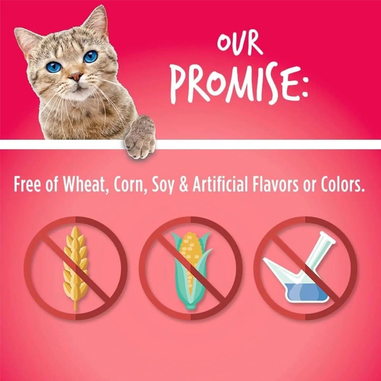 Crunchy Cat Treats - Healthy Low-Calorie Protein Snack with Real Salmon and Cranberry - 2.5 Ounces - Wheat, Corn, and Soy Free