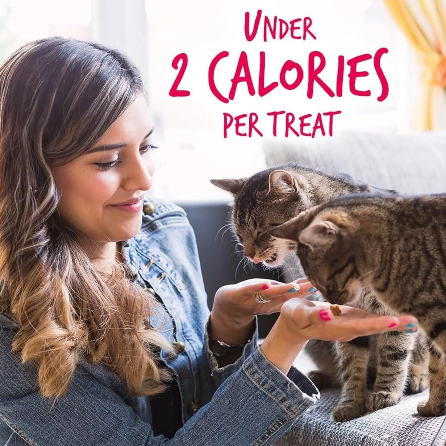 Crunchy Cat Treats - Healthy Low-Calorie Protein Snack with Real Salmon and Cranberry - 2.5 Ounces - Wheat, Corn, and Soy Free