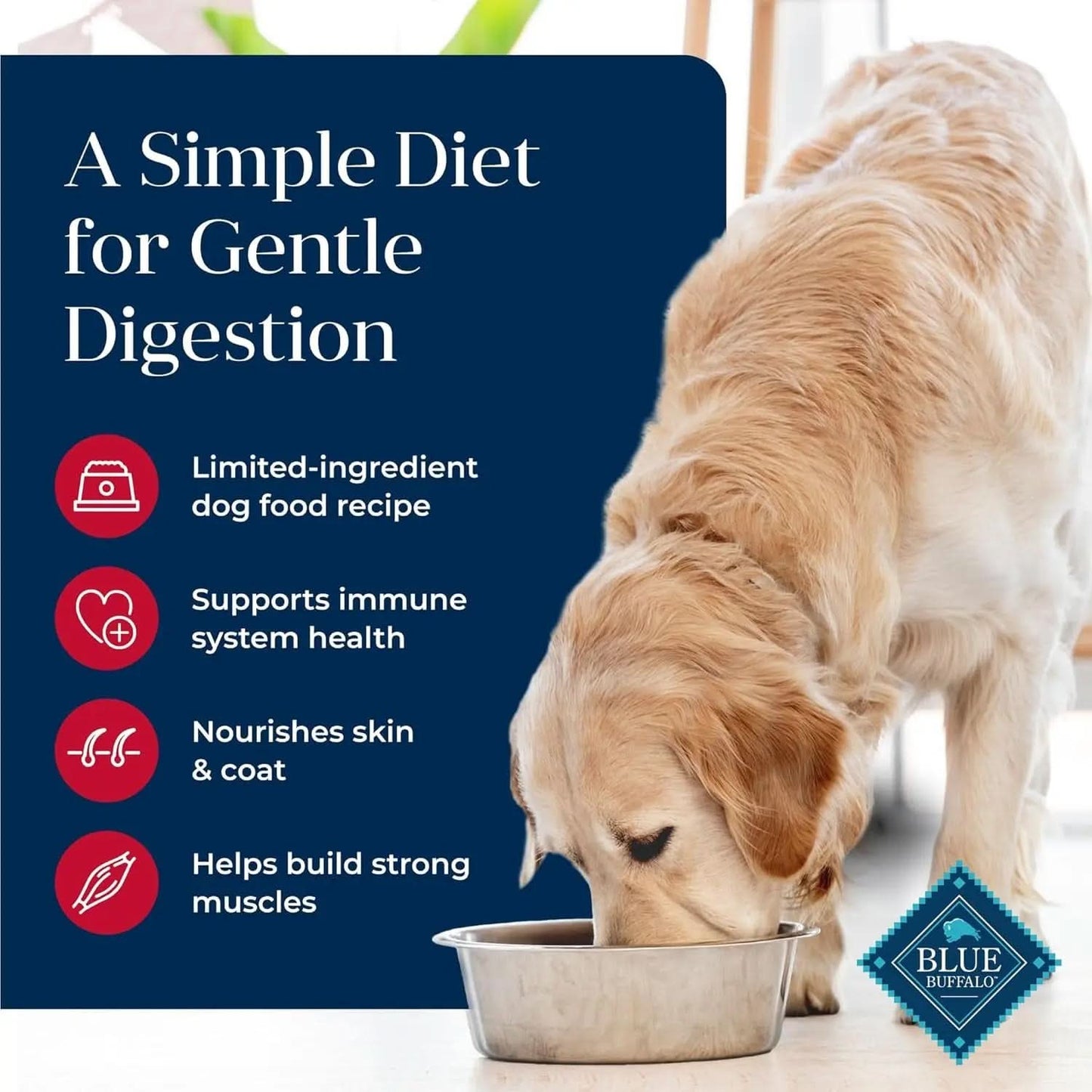 Basics Grain-Free Adult Dog Food, Limited Ingredient Diet, Salmon Recipe, 22 lb Bag