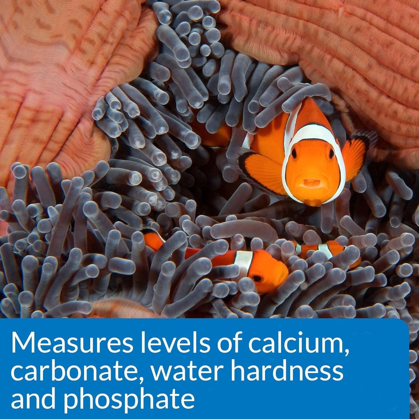 Saltwater Master Test Kit - Comprehensive 550-Test Water Quality Analysis for Saltwater Aquariums