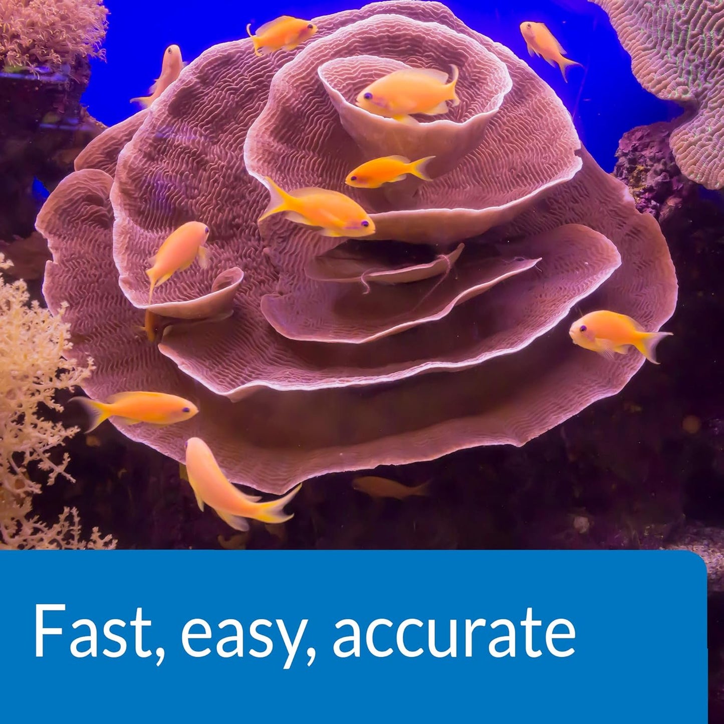 Saltwater Master Test Kit - Comprehensive 550-Test Water Quality Analysis for Saltwater Aquariums