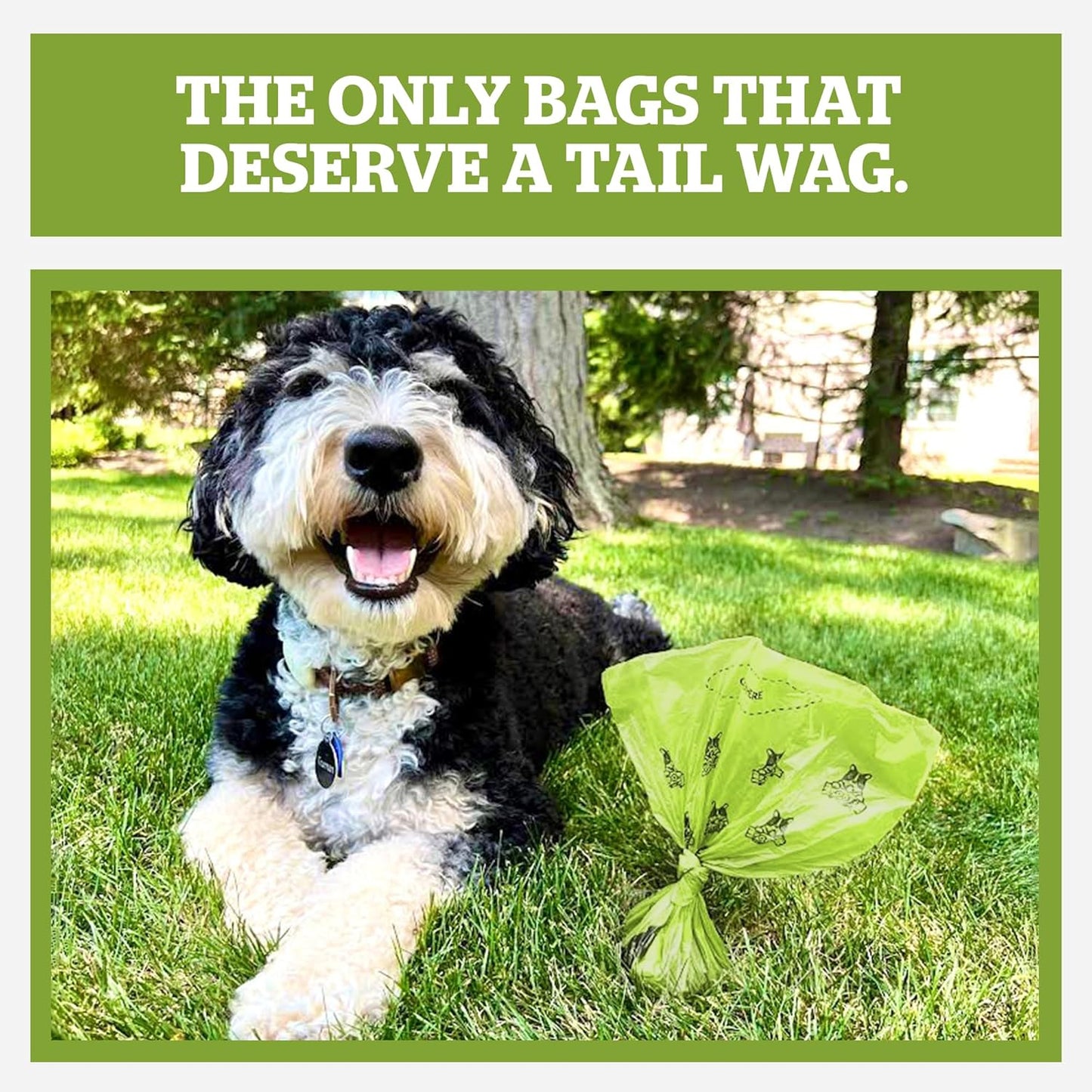 Pogi's Premium Leak-Proof Dog Waste Bags - Extra Thick with Fresh Scent (10 Rolls, 150 Count)