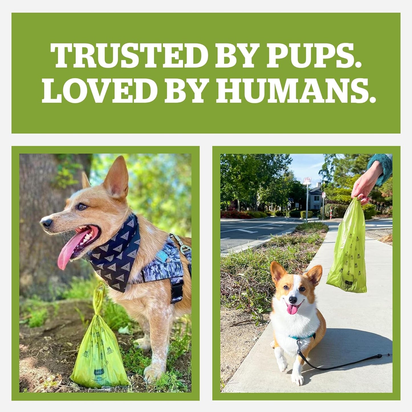 Pogi's Premium Leak-Proof Dog Waste Bags - Extra Thick with Fresh Scent (10 Rolls, 150 Count)
