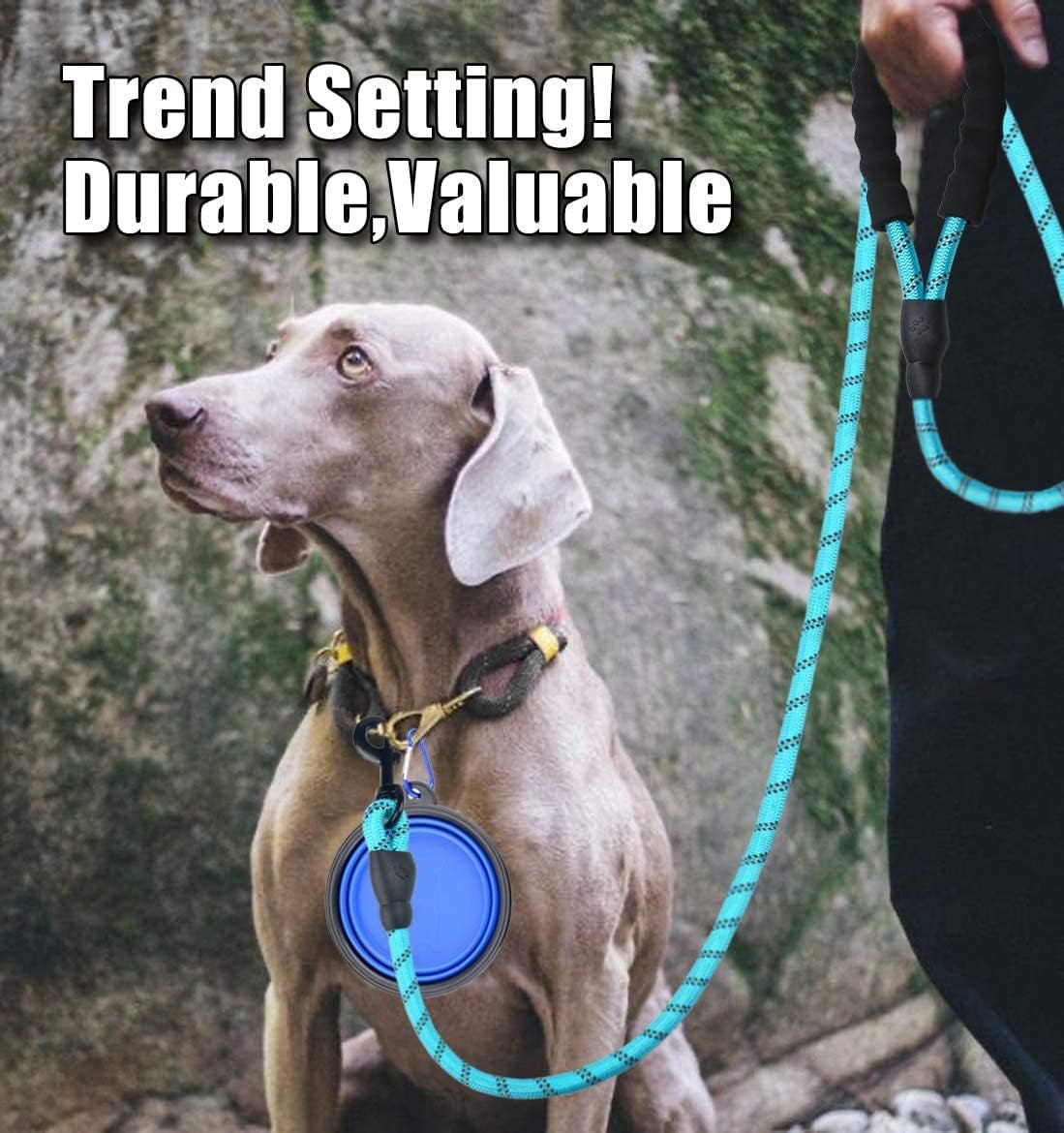 Premium Dog Leash - Thick Nylon Rope (2FT/5FT/6FT) with Padded Handle, Reflective Features, Includes Collapsible Pet Bowl & Waste Bags (Blue, 1/3" X 5 FT)