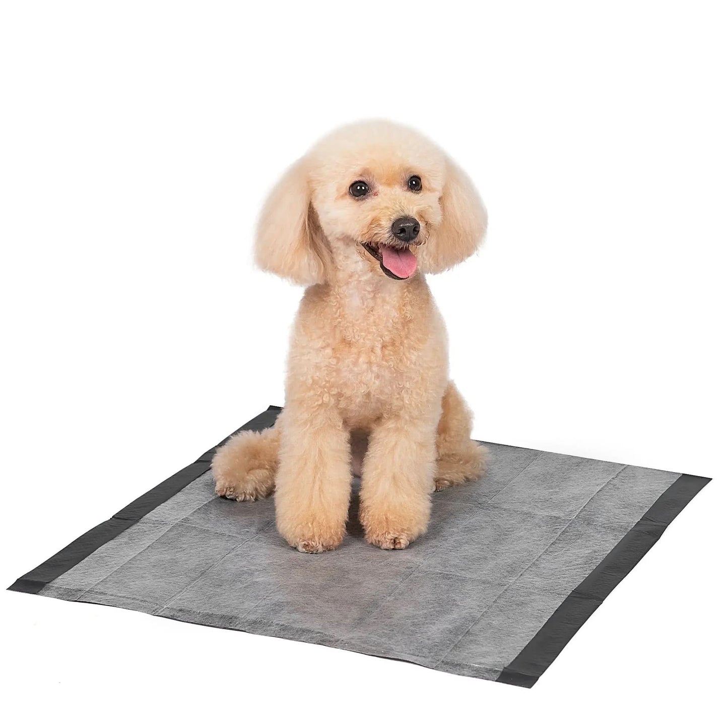Activated Charcoal Leak-Resistant Training Pads for Dogs, 23In X 23In, 50 Count