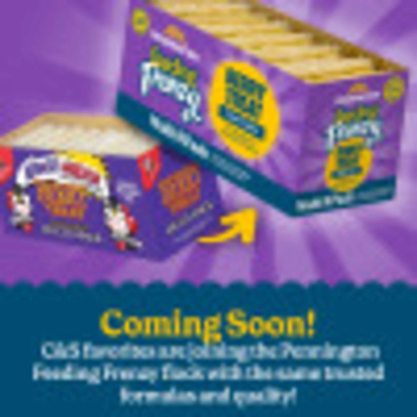 C&S Berry Suet Treat 11.75 Ounces 8 Pack