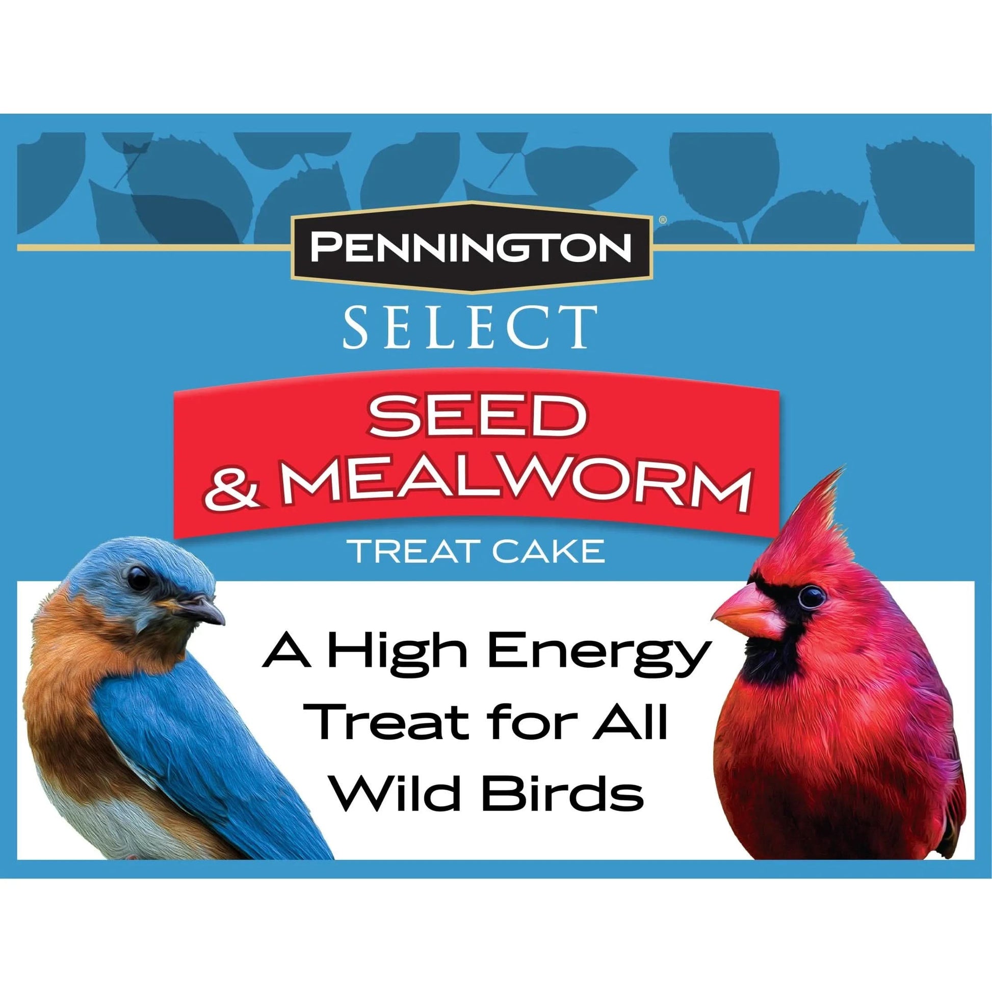 Seed & Mealworm Treat Cake, Wild Bird Feed, 1.4 Lb., 1 Pack