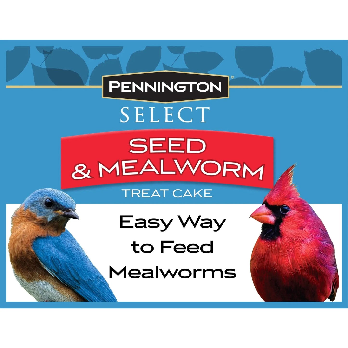 Seed & Mealworm Treat Cake, Wild Bird Feed, 1.4 Lb., 1 Pack