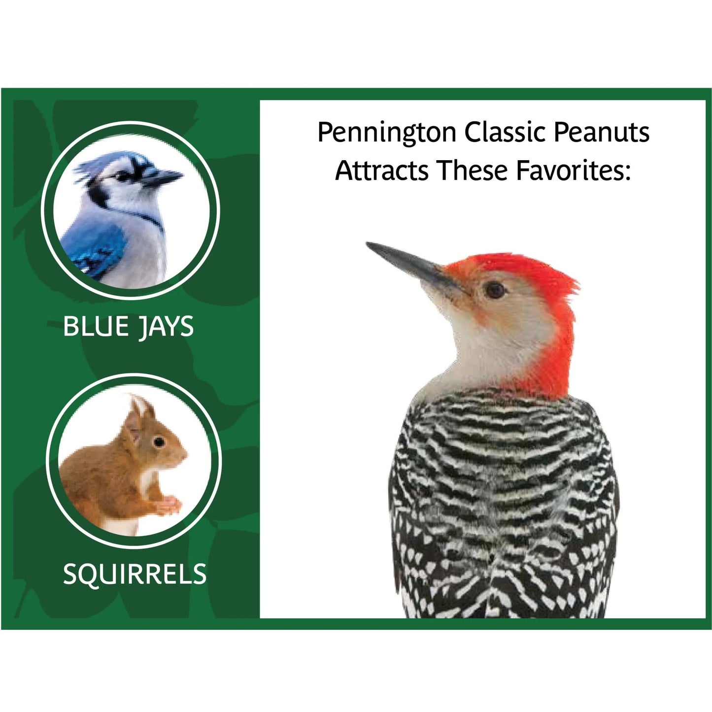 Shelled Peanuts Wildlife and Wild Bird Food, 5 Lb. Bag, 1 Pack, Dry