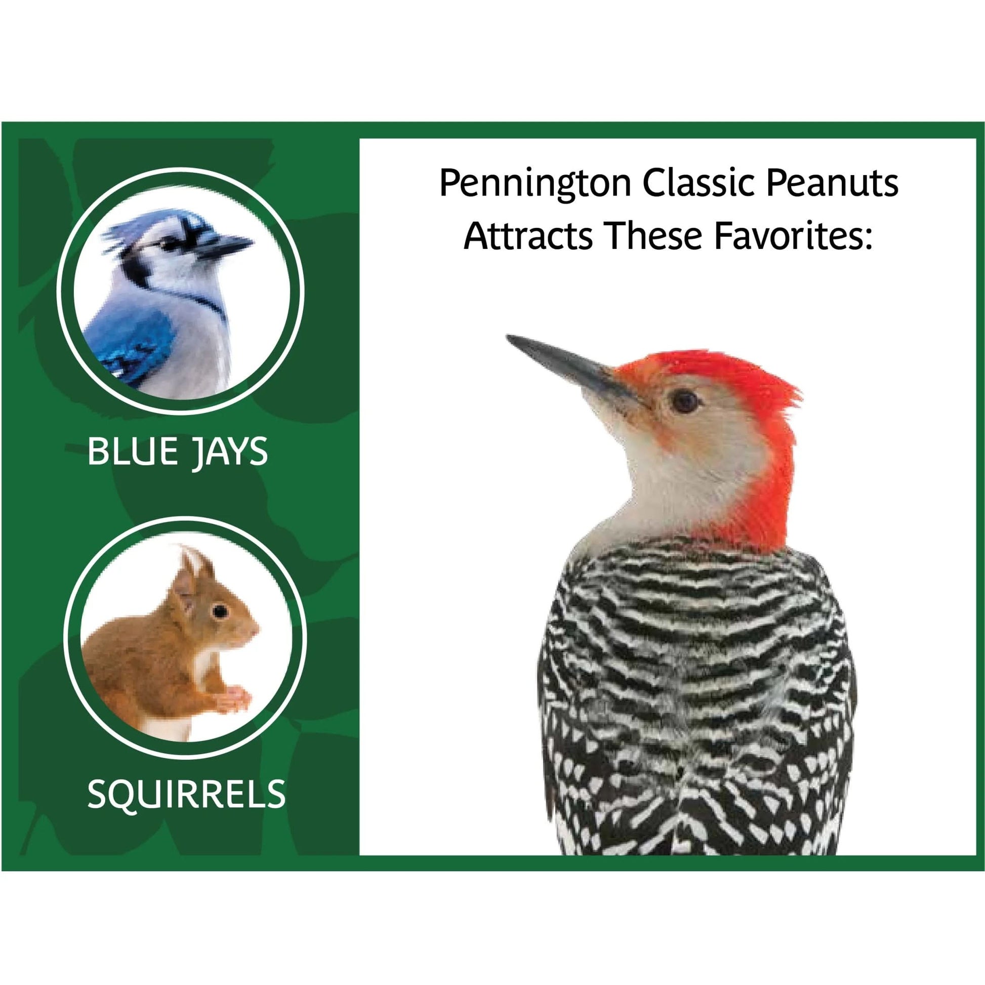 Shelled Peanuts Wildlife and Wild Bird Food, 5 Lb. Bag, 1 Pack, Dry