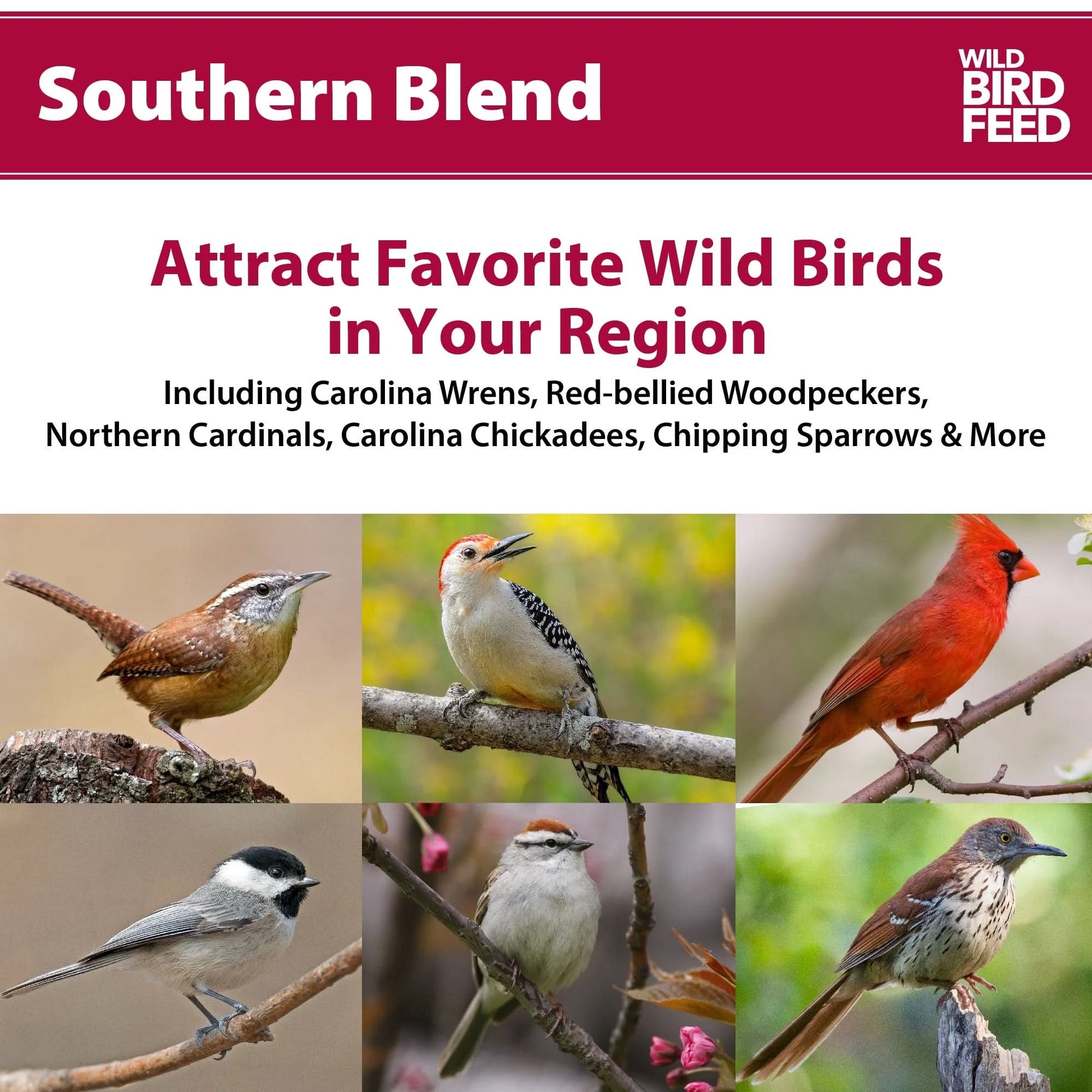 Southern Regional Blend Wild Bird Food, Dry, 1 Count per Pack, 5 Lb. Bag
