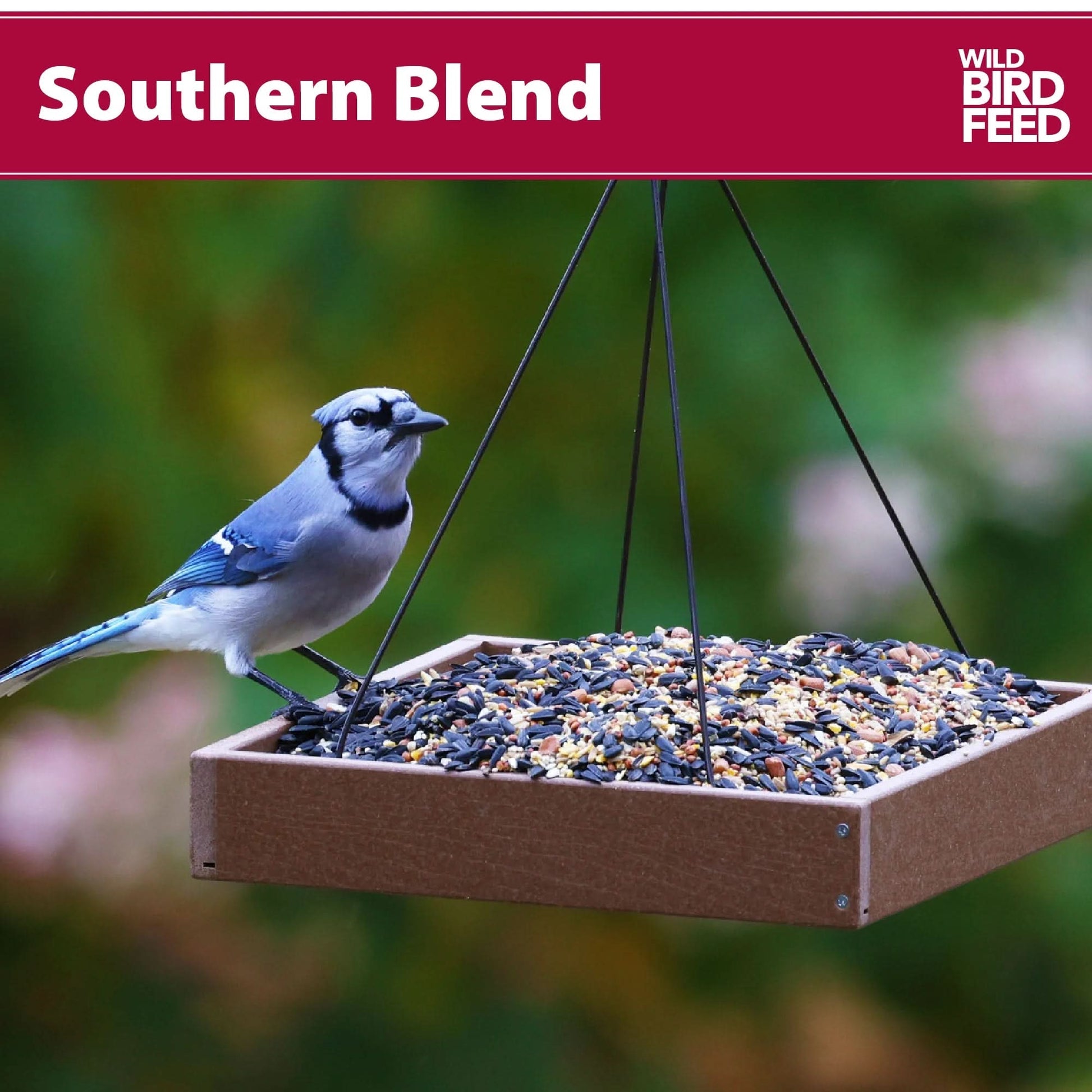 Southern Regional Blend Wild Bird Food, Dry, 1 Count per Pack, 5 Lb. Bag