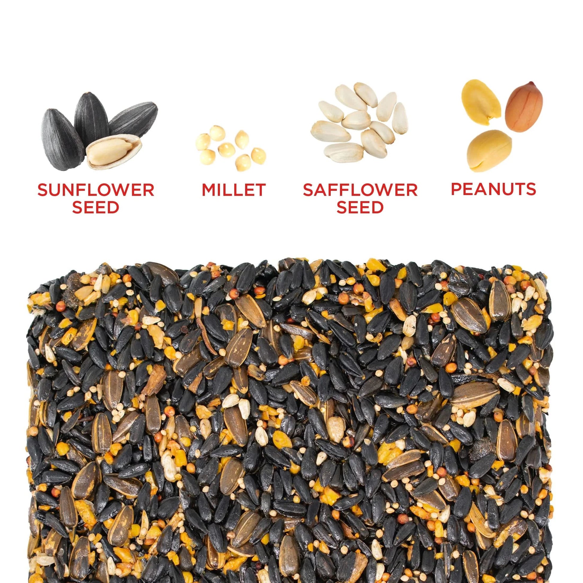 Spicy Seed Cake Wild Bird Food, Dry, 1 Count per Pack, 22 Oz.