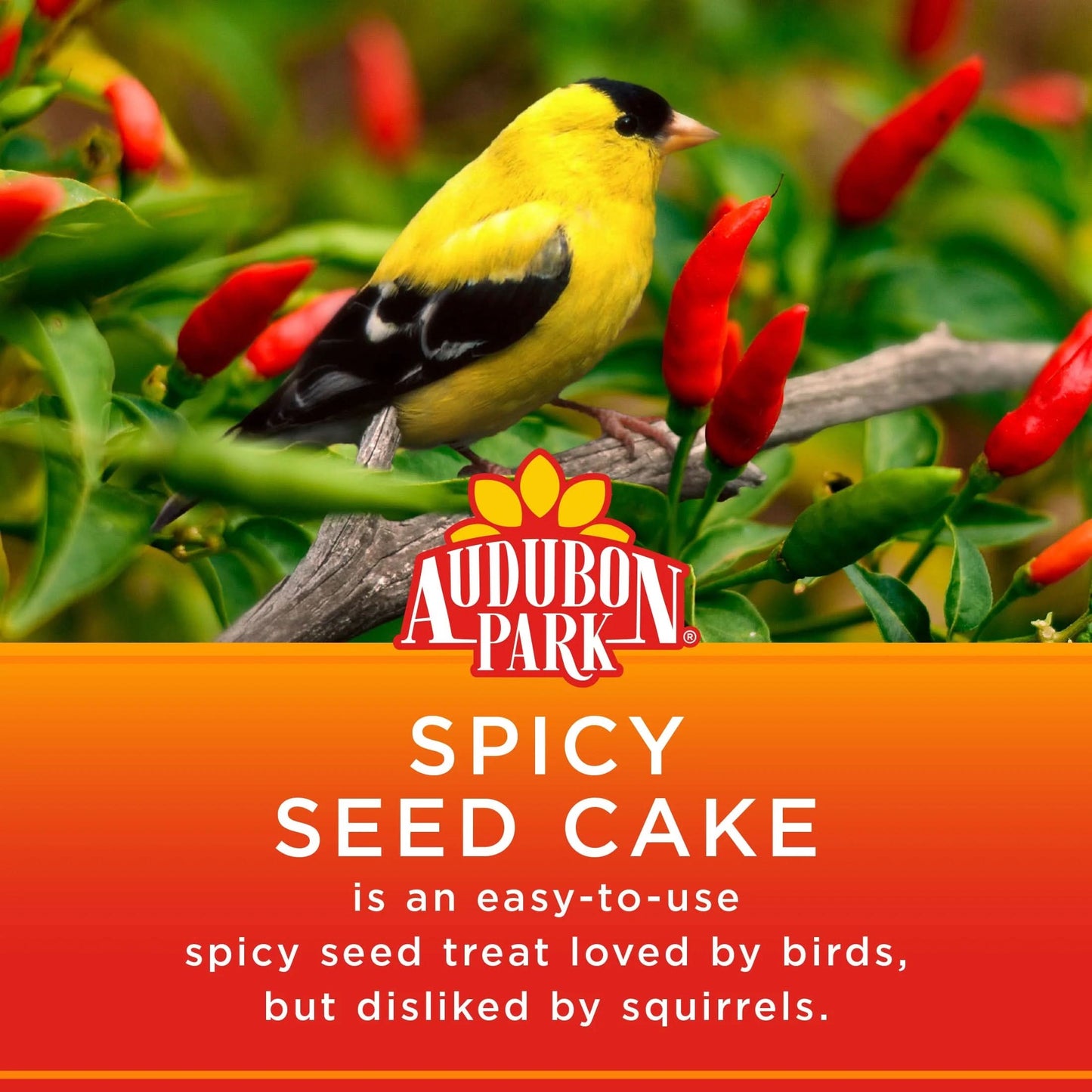 Spicy Seed Cake Wild Bird Food, Dry, 1 Count per Pack, 22 Oz.