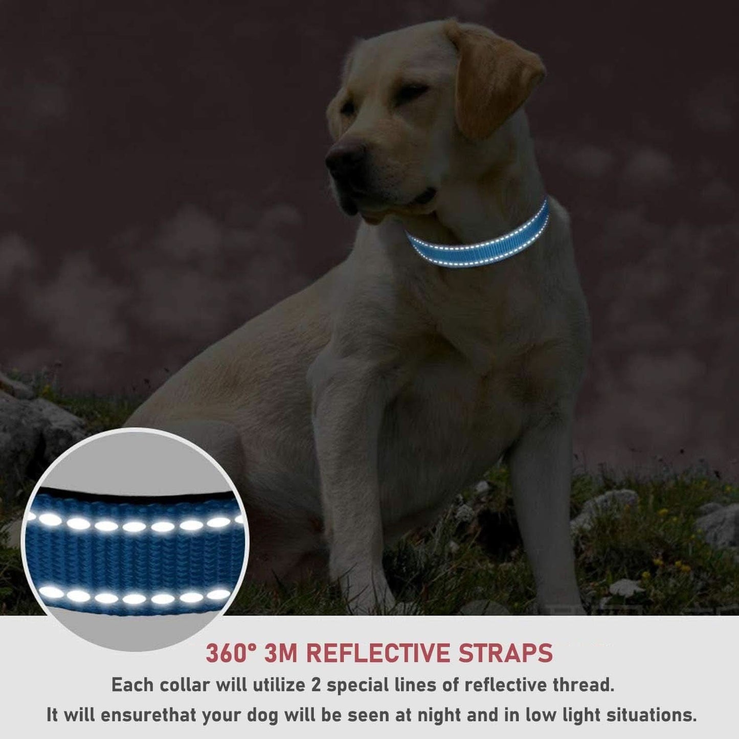 Adjustable Reflective Nylon Dog Collar with Buckle for Small, Medium, and Large Dogs - Blue, XL Size
